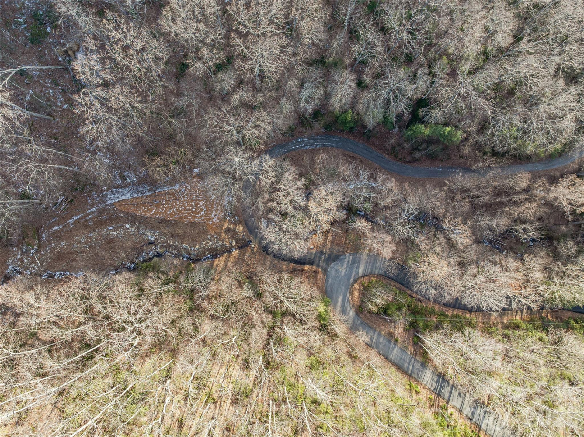 119 Wildflower Cove Drive - Photo 12