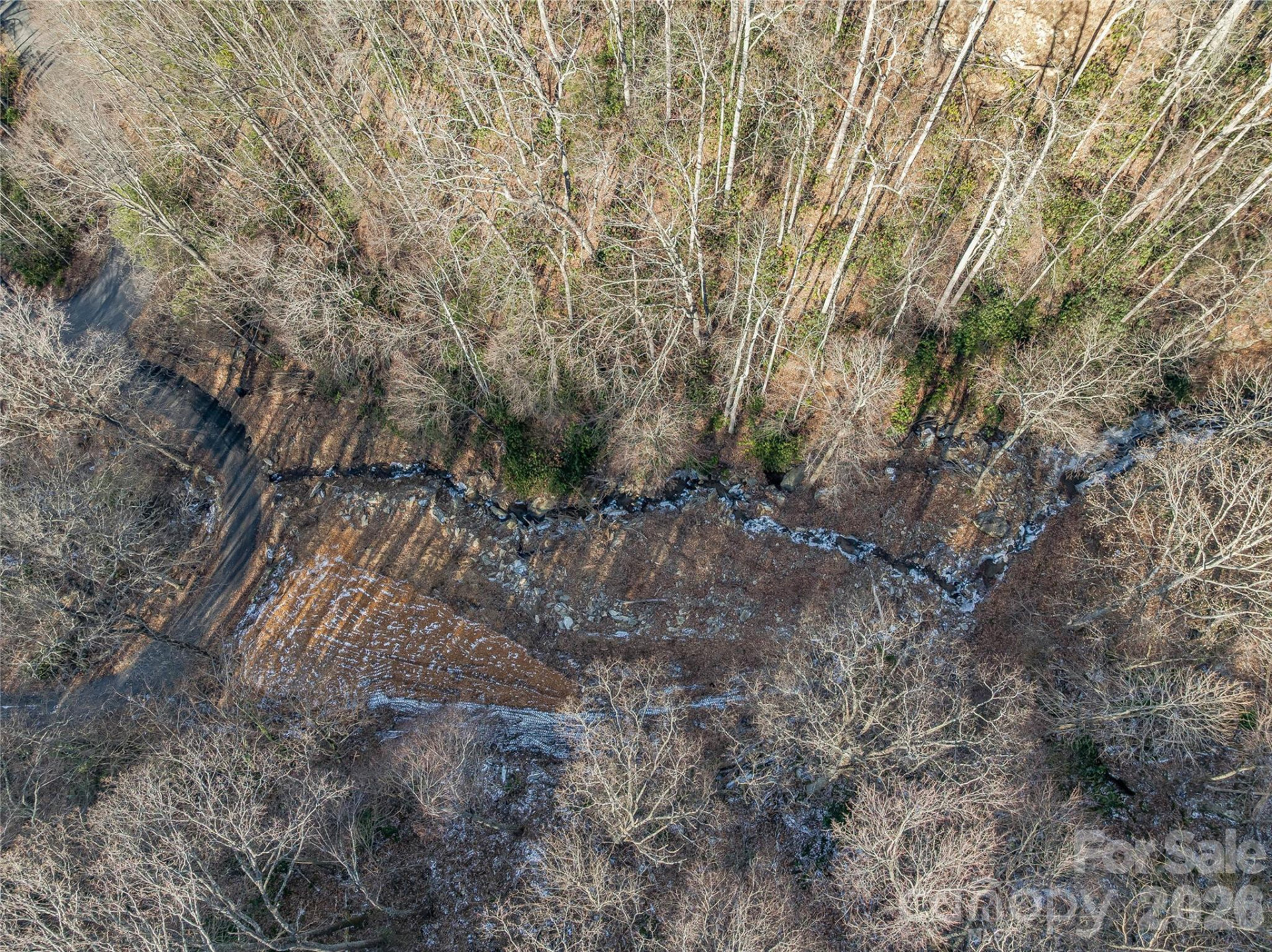 119 Wildflower Cove Drive - Photo 13