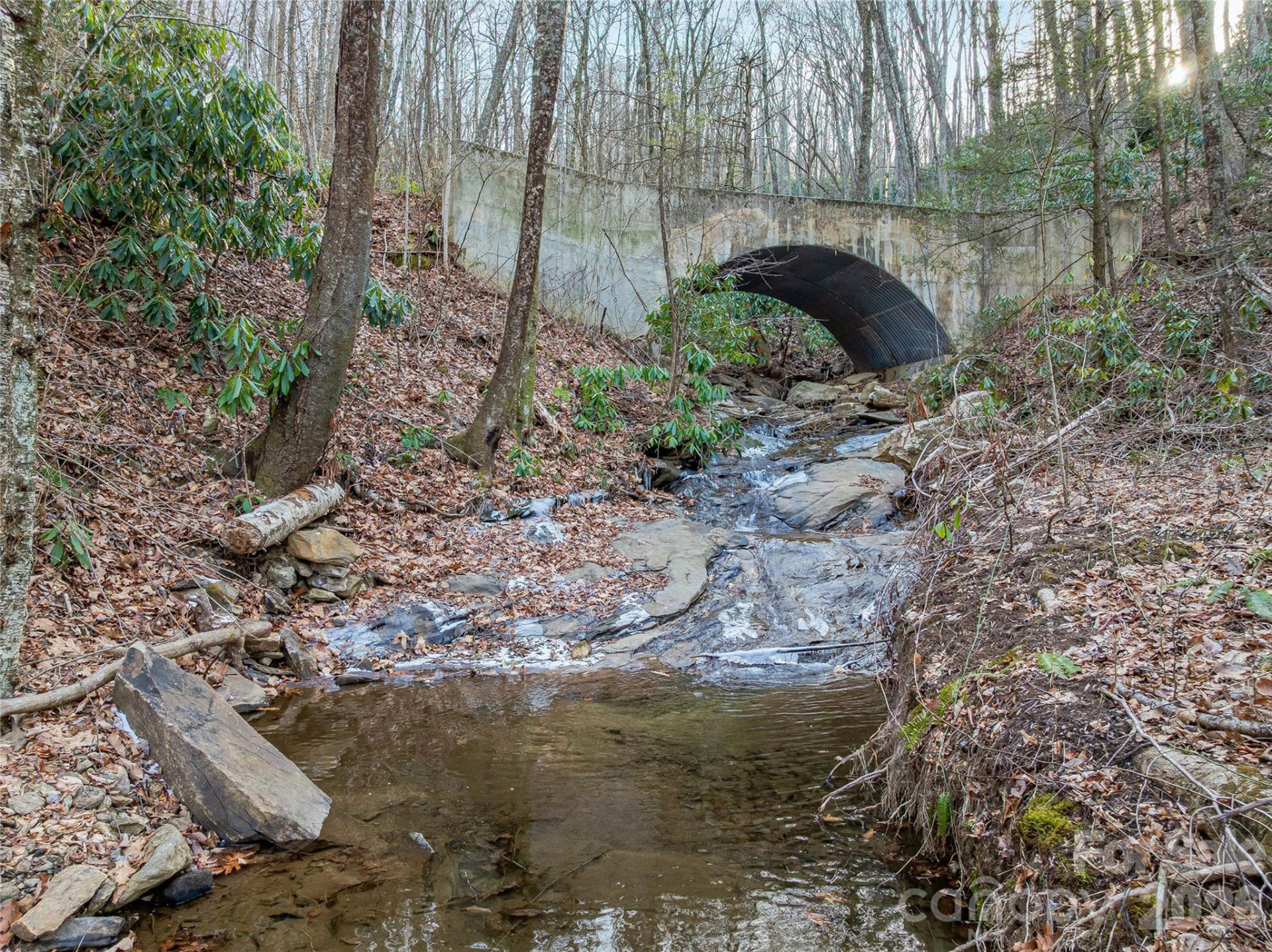 119 Wildflower Cove Drive - Photo 15