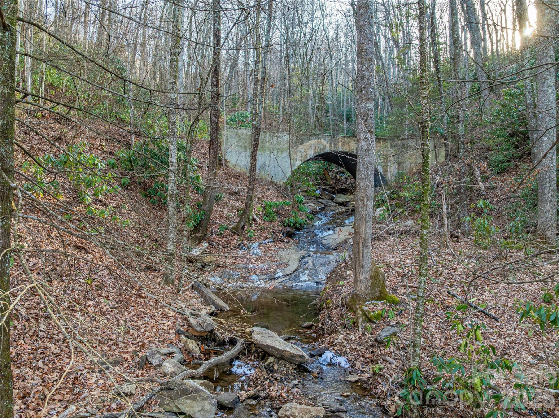 119 Wildflower Cove Drive - Photo 16