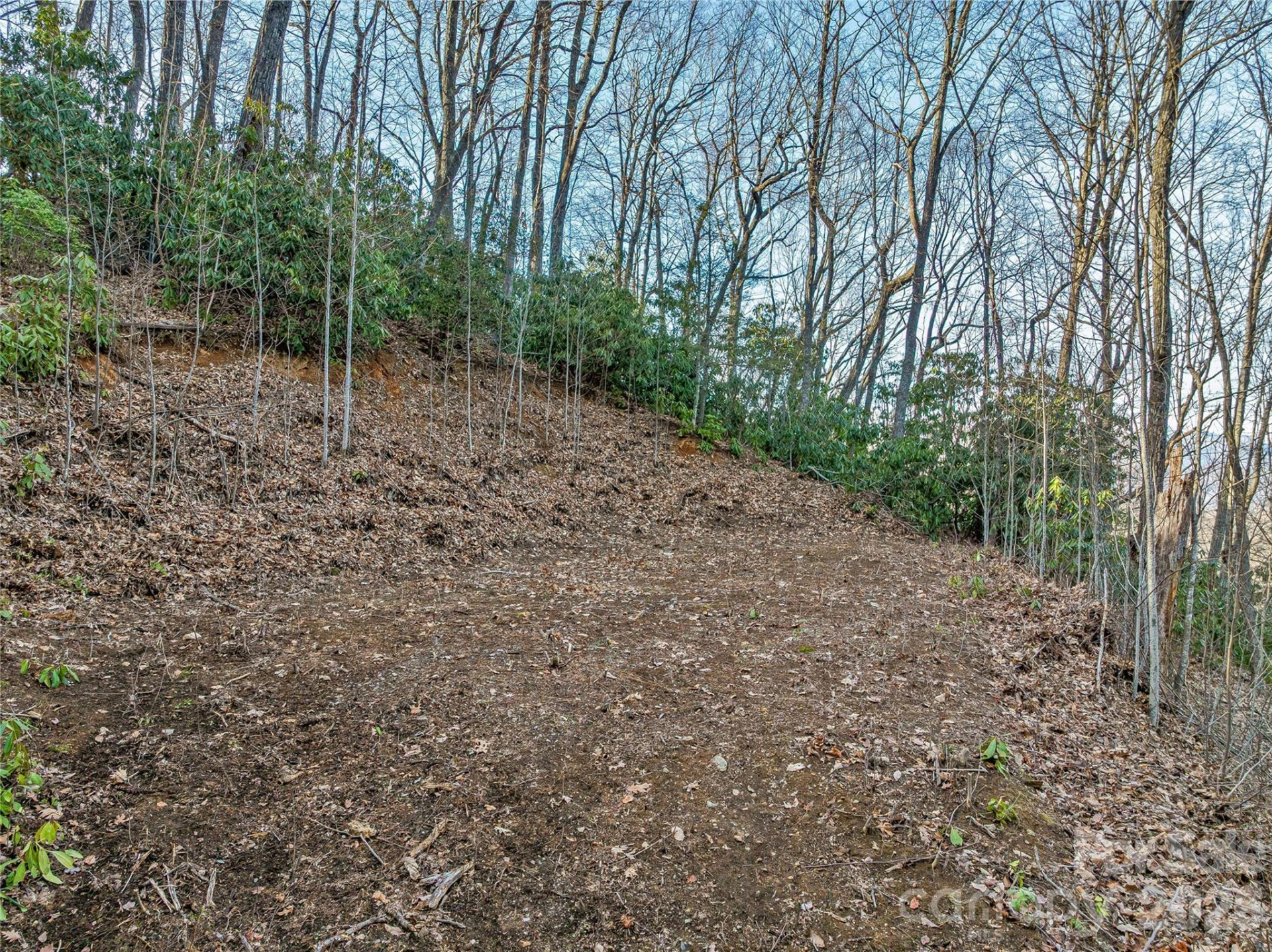 119 Wildflower Cove Drive - Photo 19