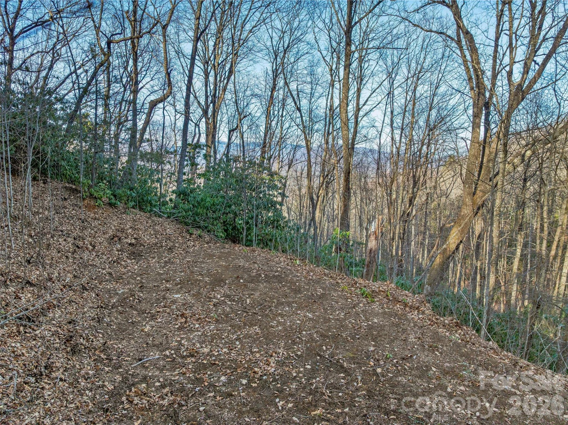 119 Wildflower Cove Drive - Photo 20