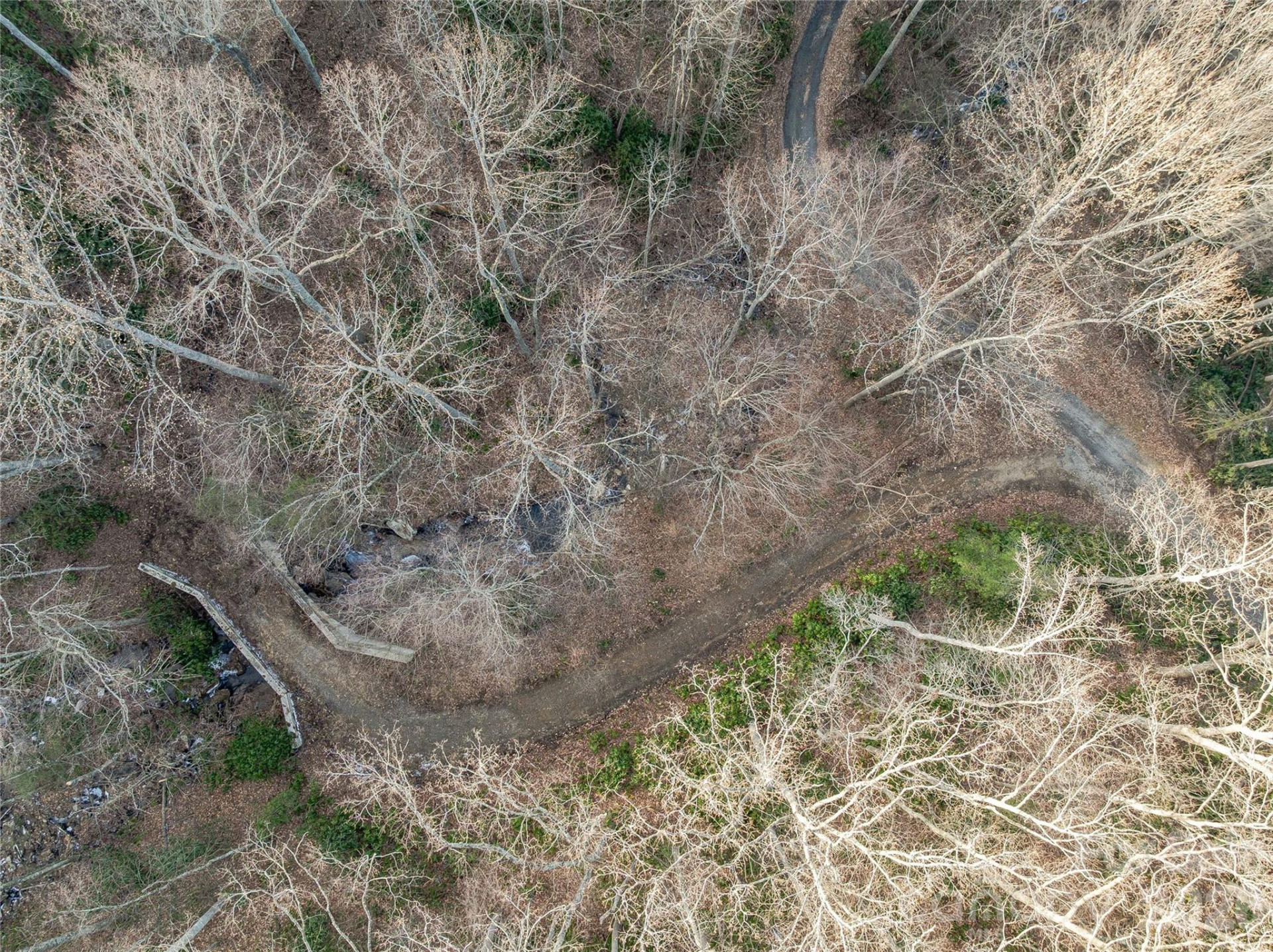 119 Wildflower Cove Drive - Photo 22