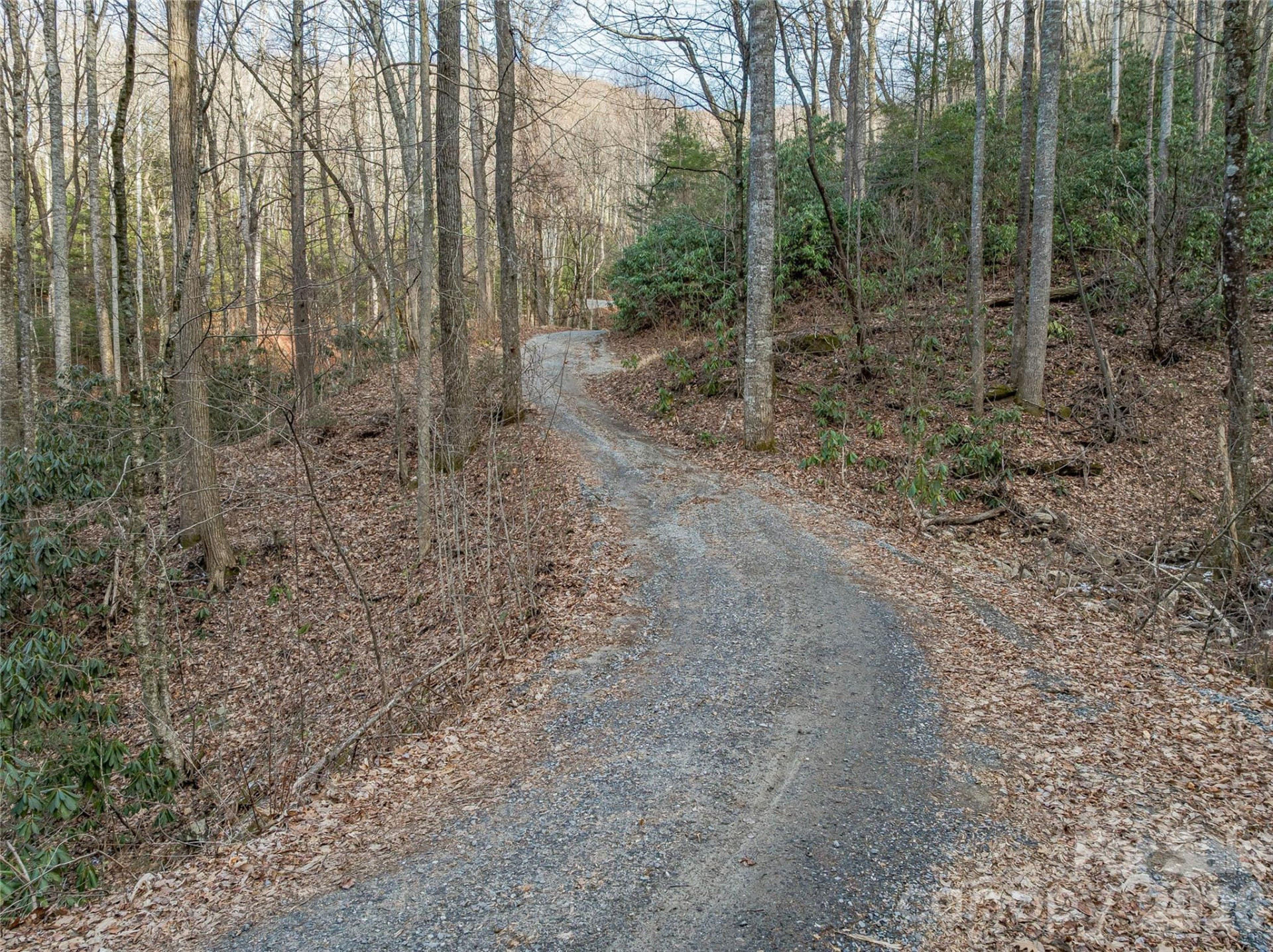 119 Wildflower Cove Drive - Photo 23