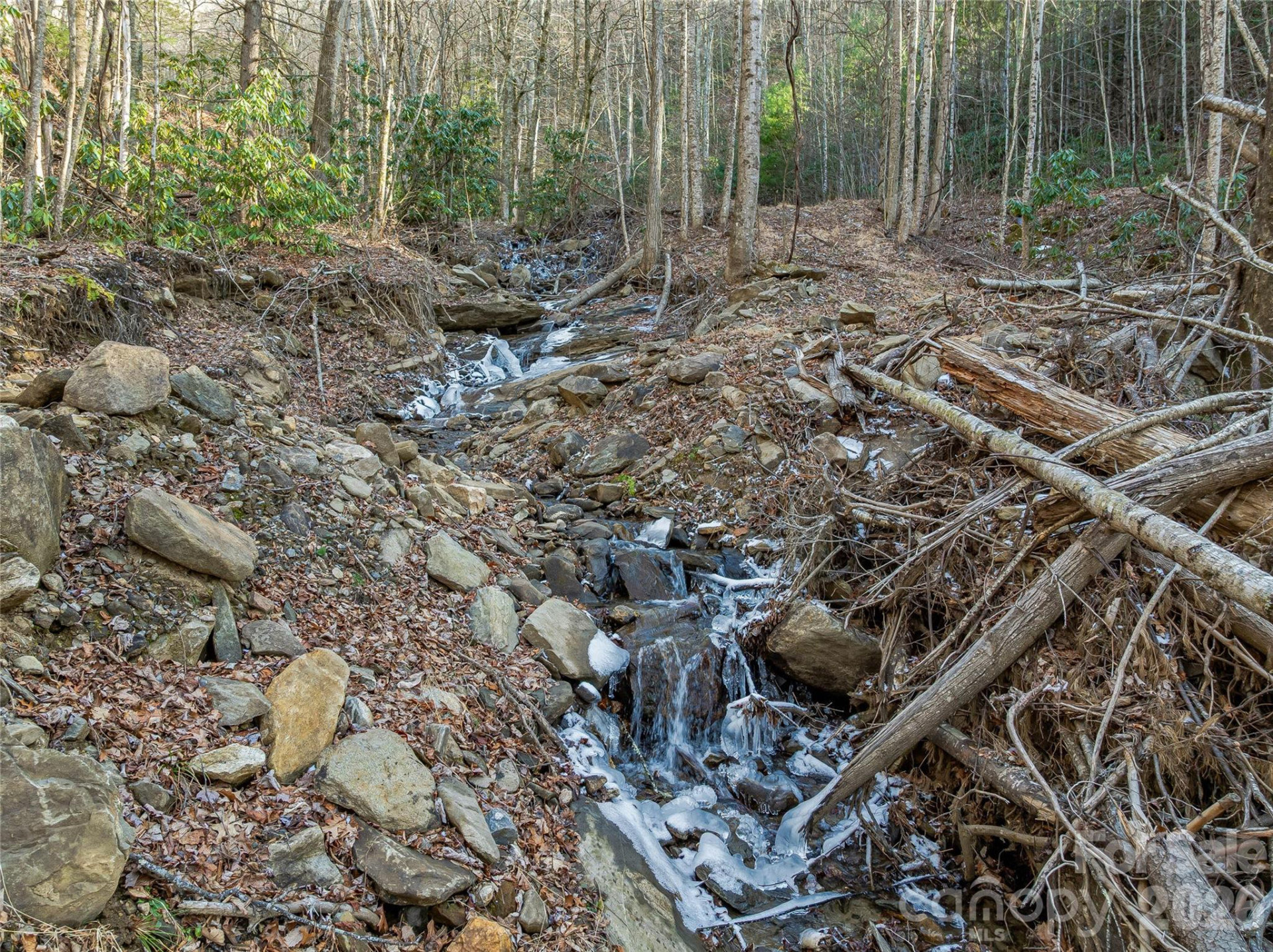 119 Wildflower Cove Drive - Photo 28