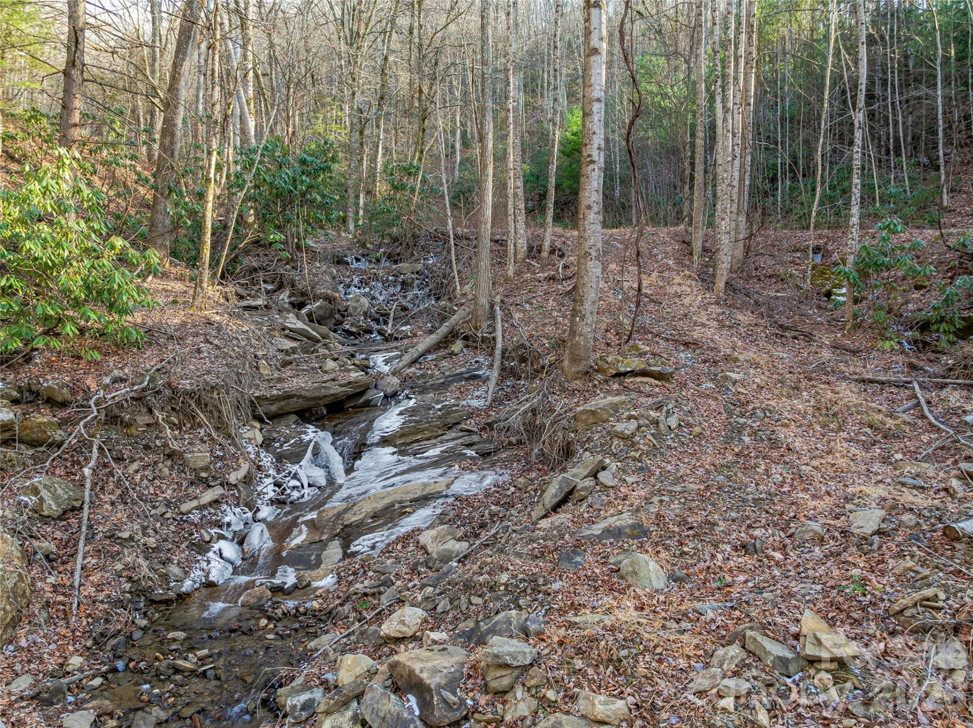 119 Wildflower Cove Drive - Photo 29