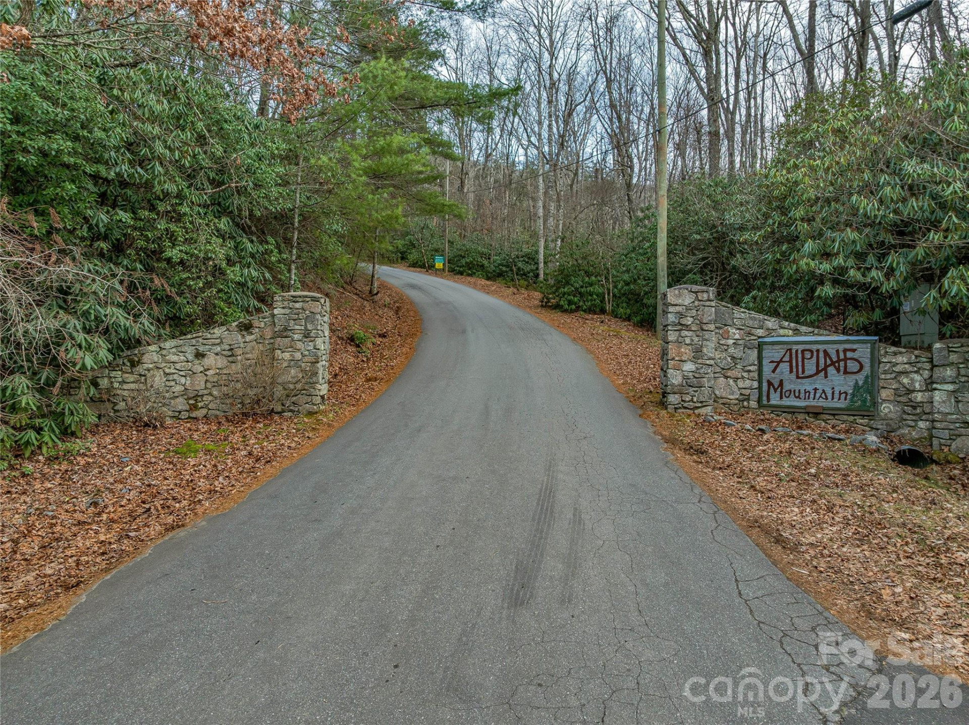 119 Wildflower Cove Drive - Photo 4