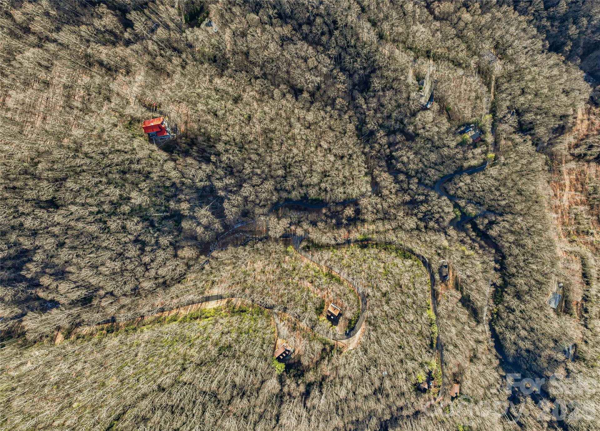 119 Wildflower Cove Drive - Photo 32