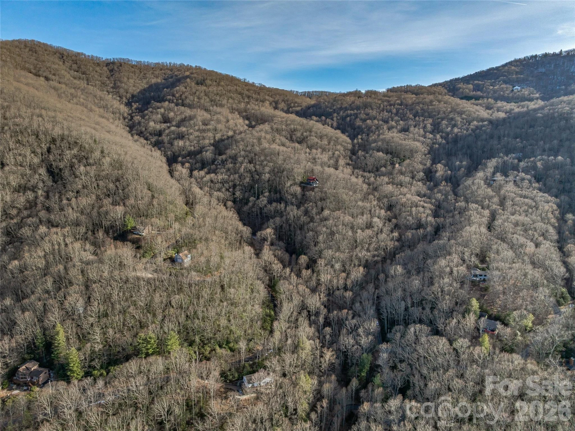 119 Wildflower Cove Drive - Photo 38