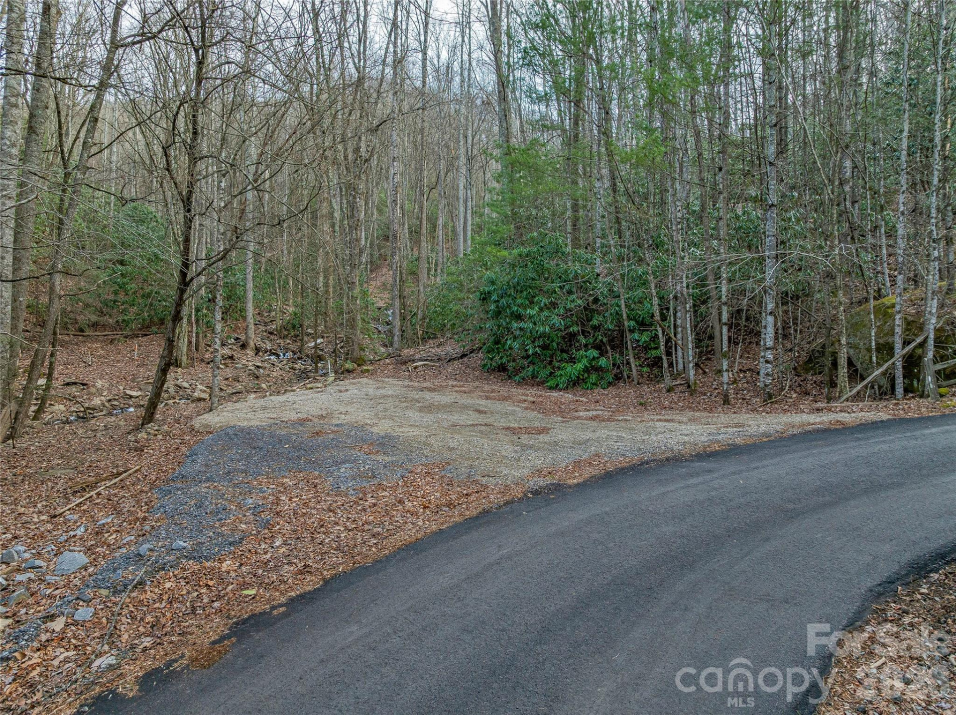 119 Wildflower Cove Drive - Photo 47
