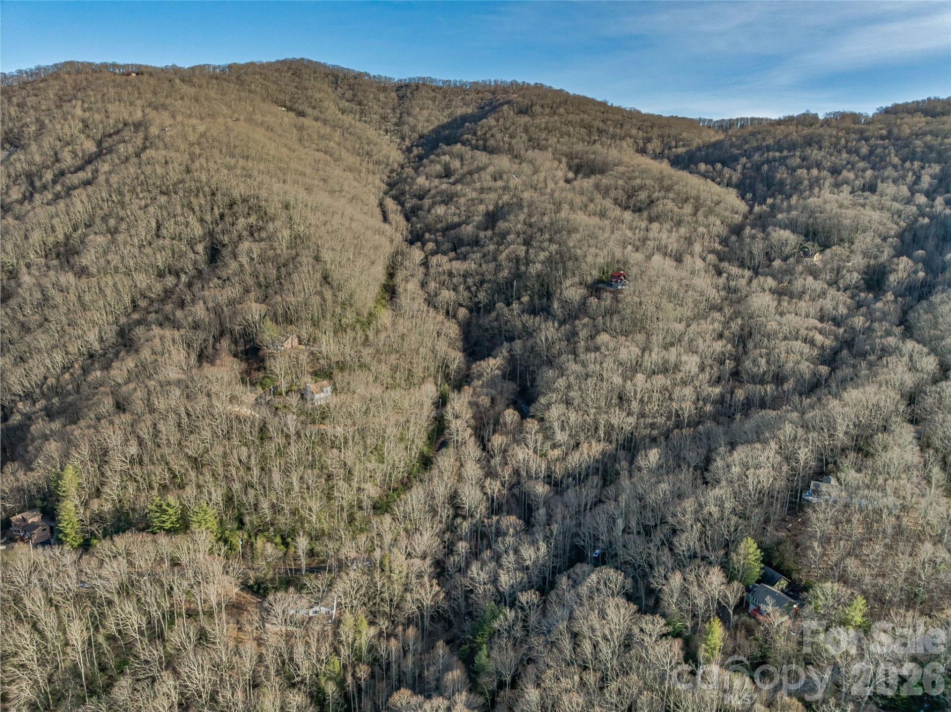 119 Wildflower Cove Drive - Photo 48