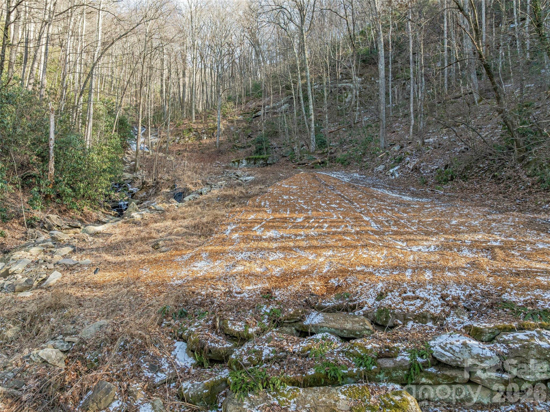 119 Wildflower Cove Drive - Photo 7