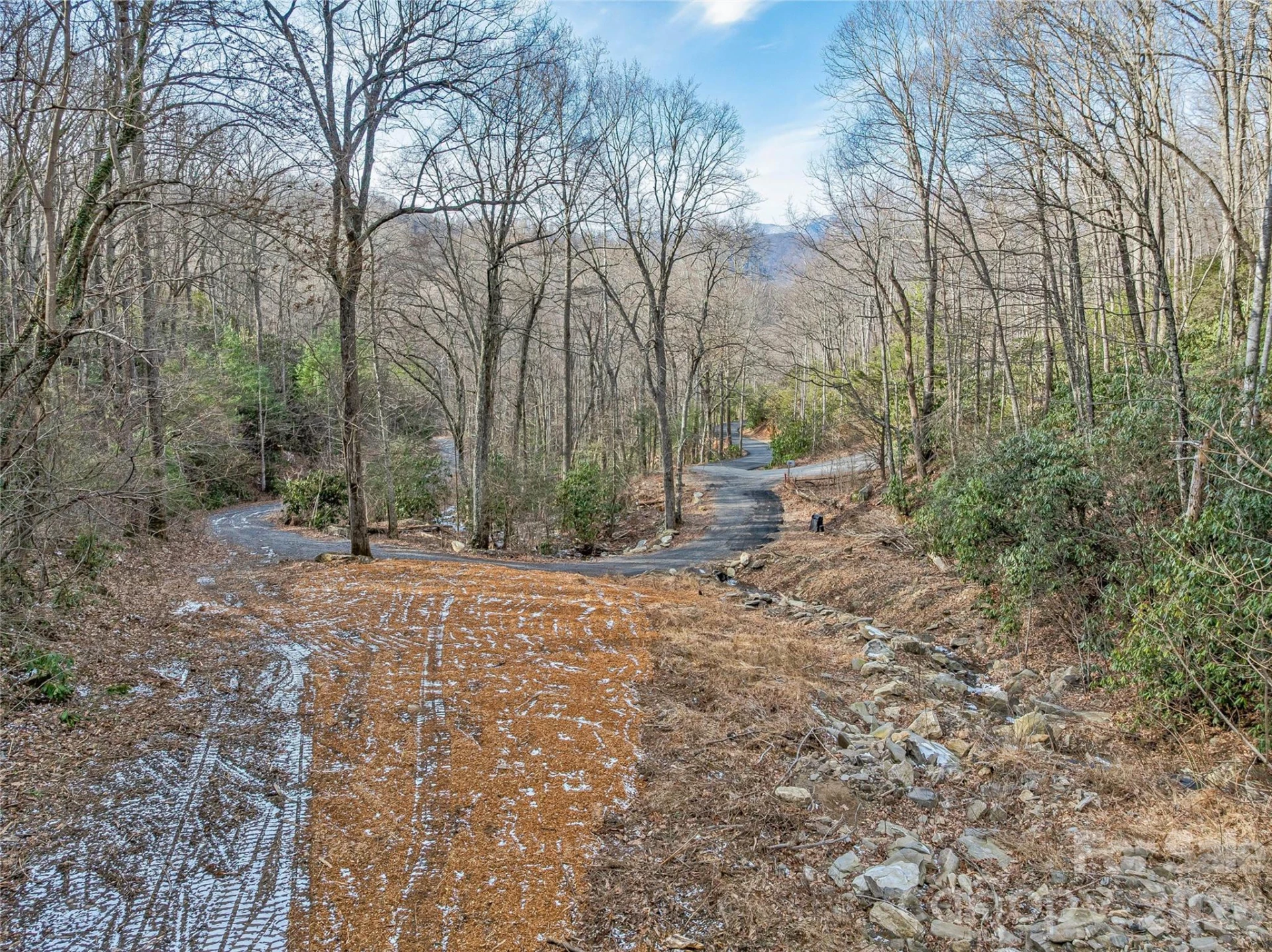 119 Wildflower Cove Drive - Photo 9