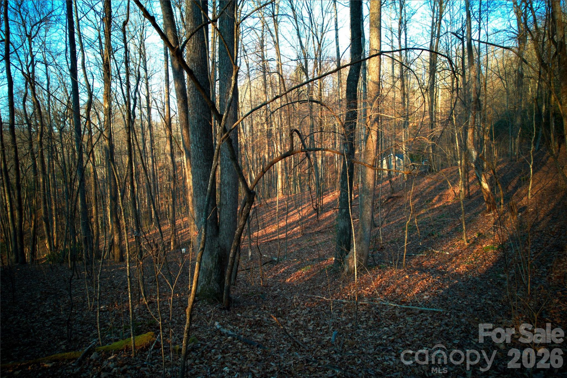 0 Langwood Drive #23 - Photo 16