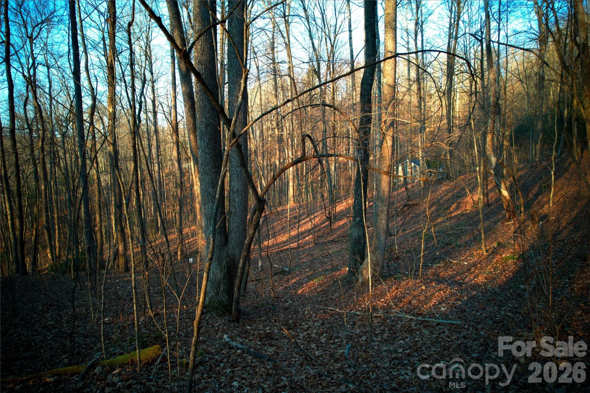 0 Langwood Drive #23 - Photo 16