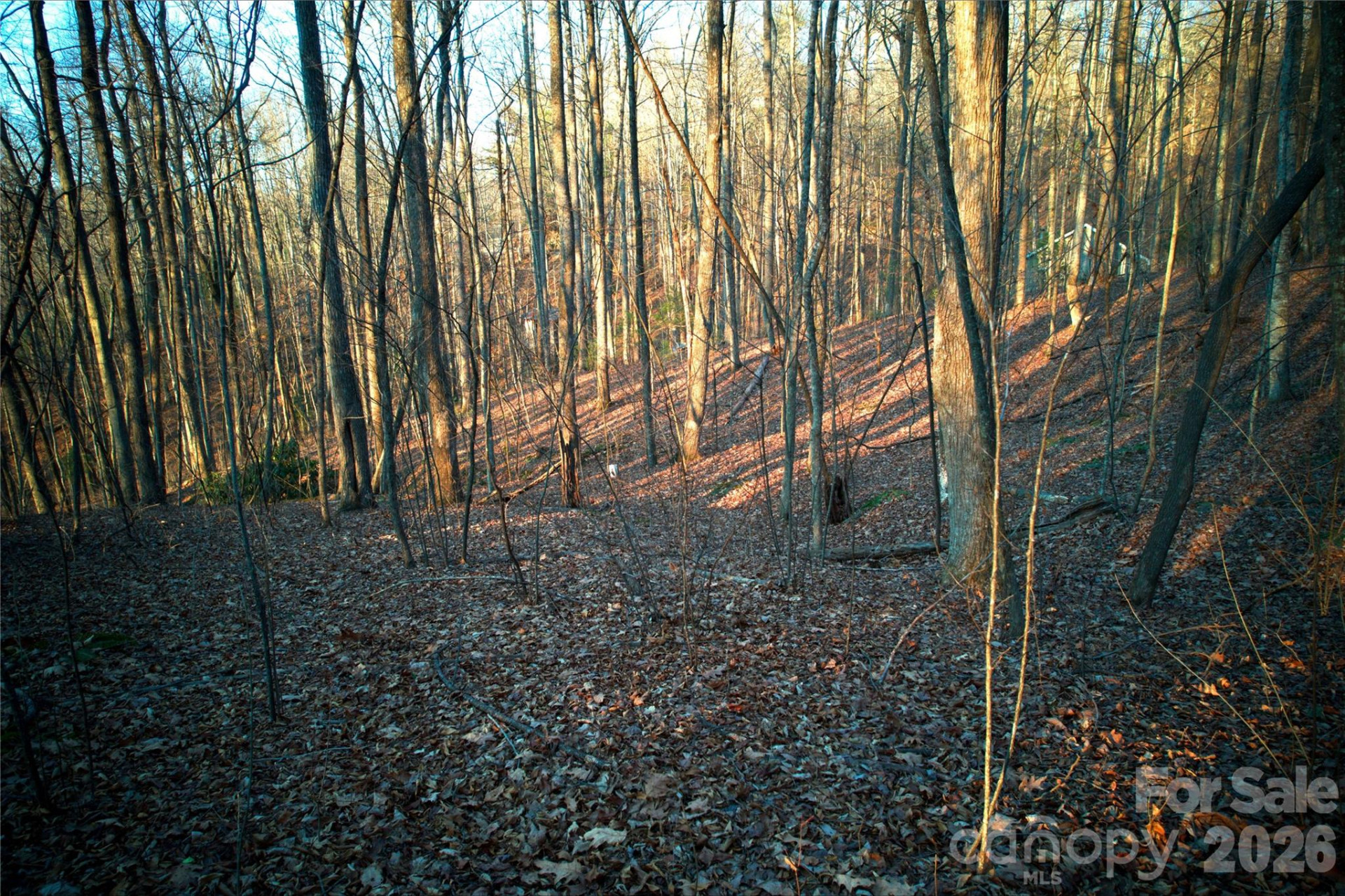 0 Langwood Drive #23 - Photo 18