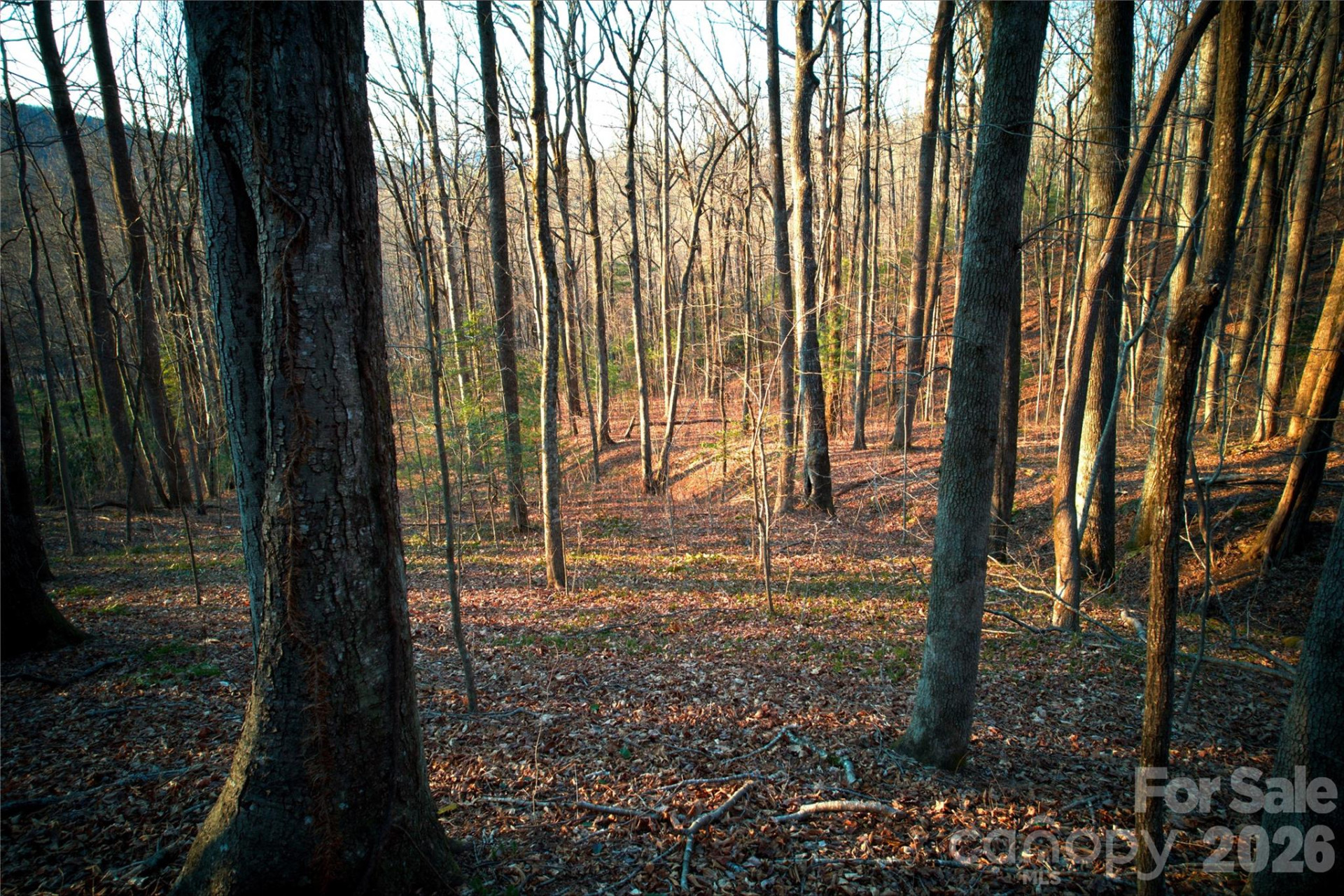 0 Langwood Drive #23 - Photo 19