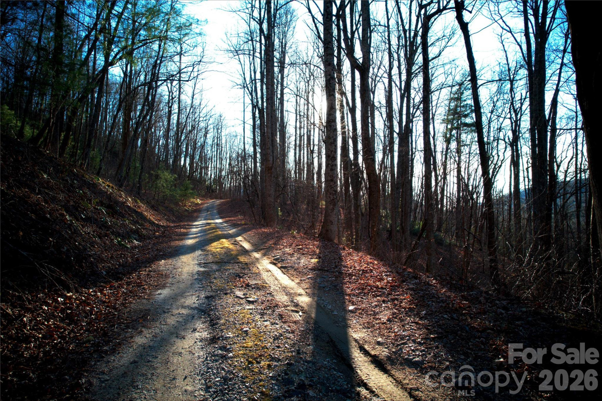 0 Langwood Drive #23 - Photo 6