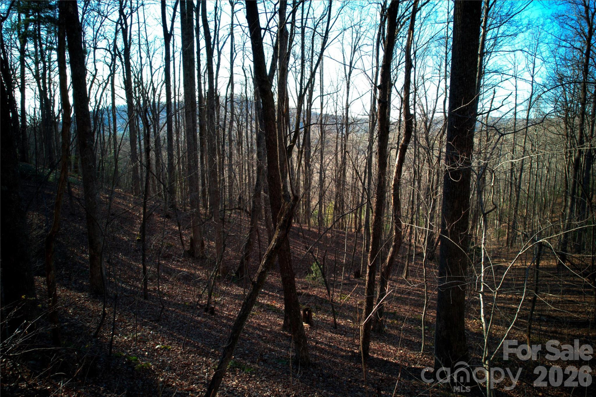 0 Langwood Drive #23 - Photo 7