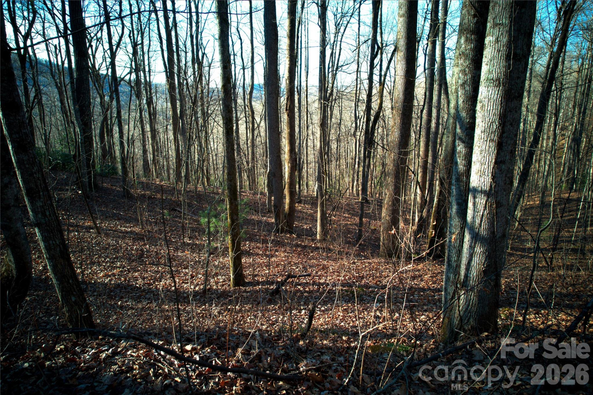 0 Langwood Drive #23 - Photo 8