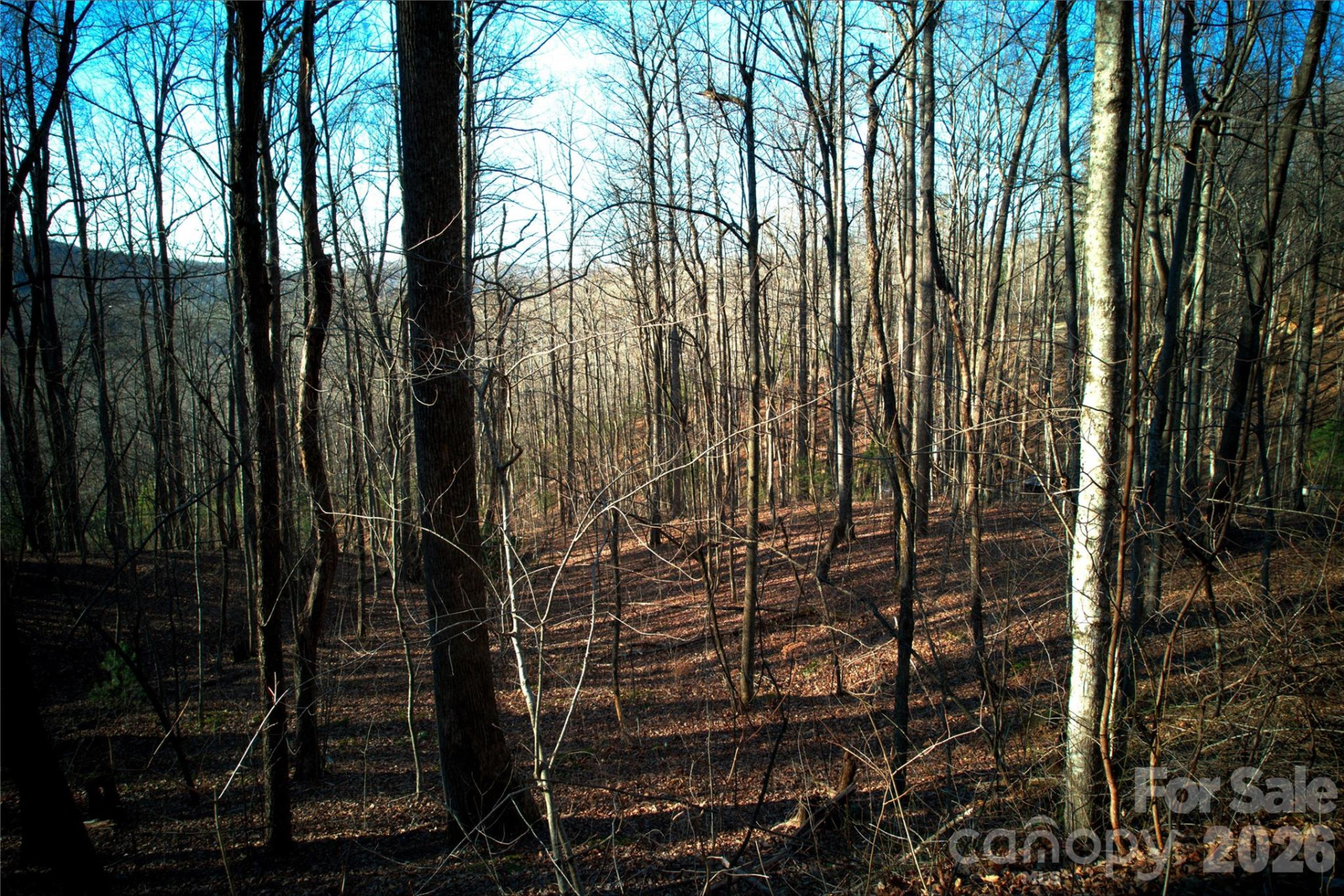 0 Langwood Drive #23 - Photo 9