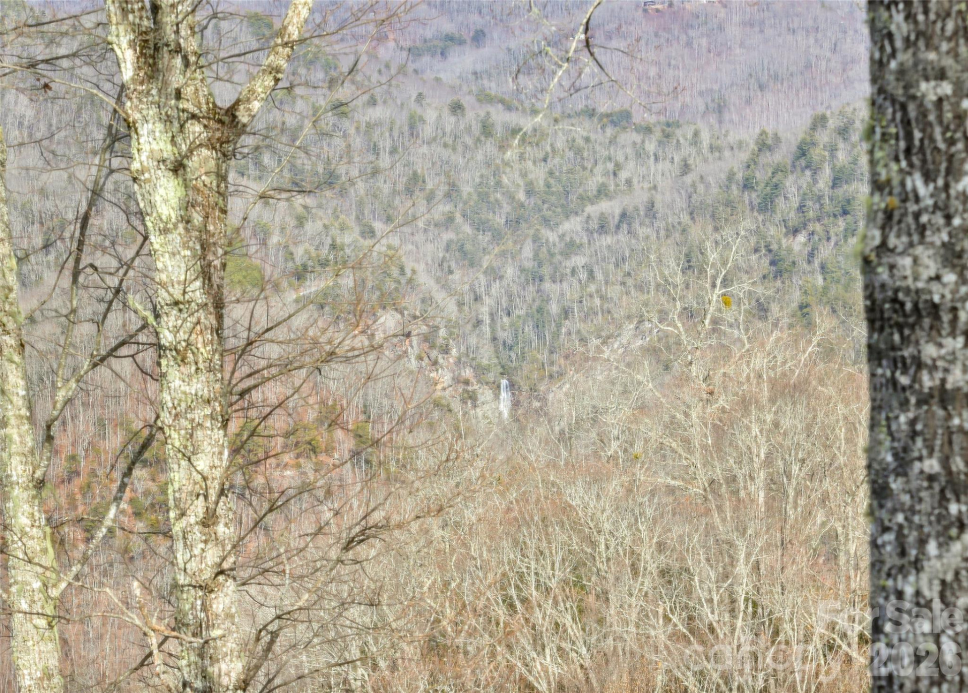 1839 Grandview Drive - Photo 20