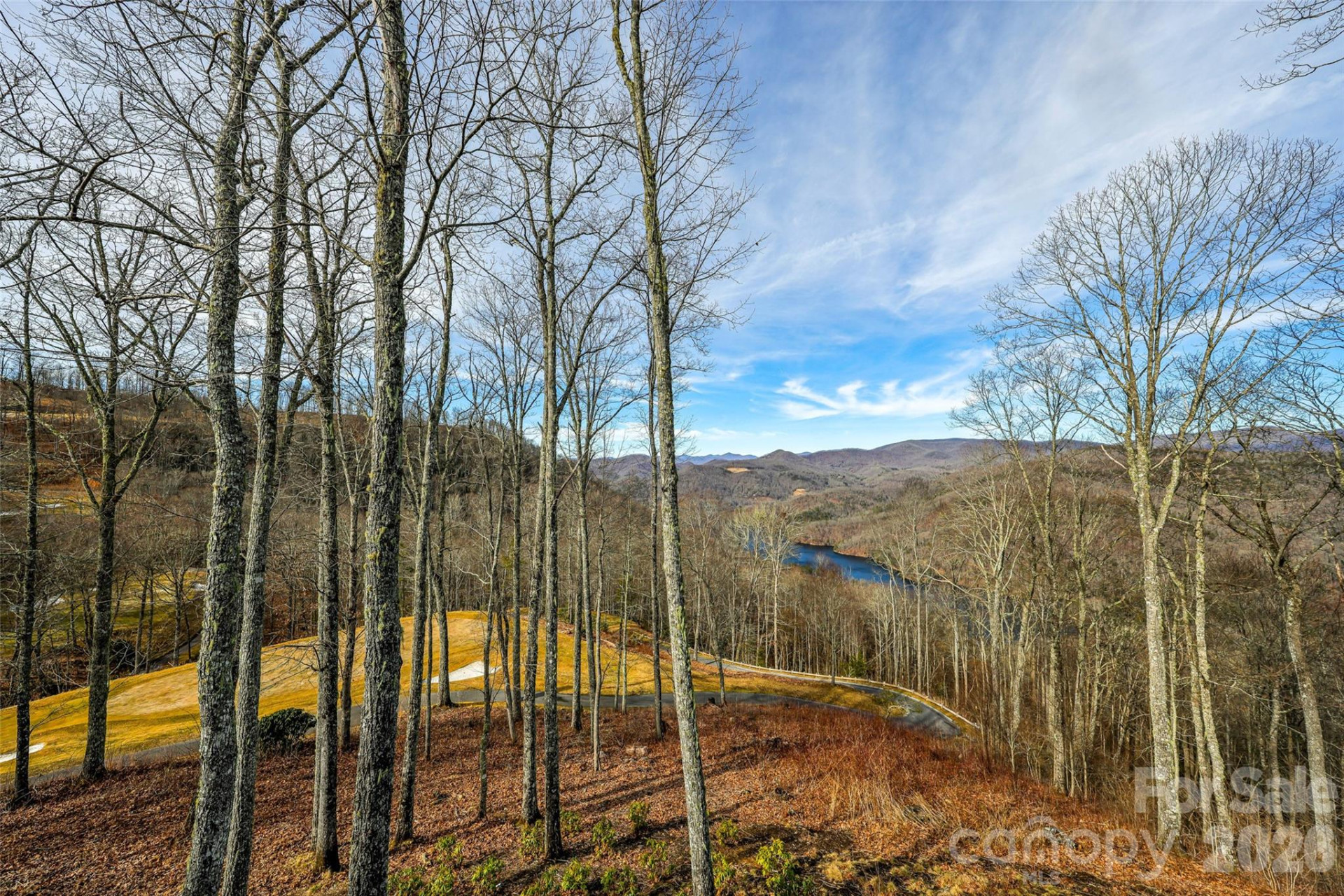 1839 Grandview Drive - Photo 47