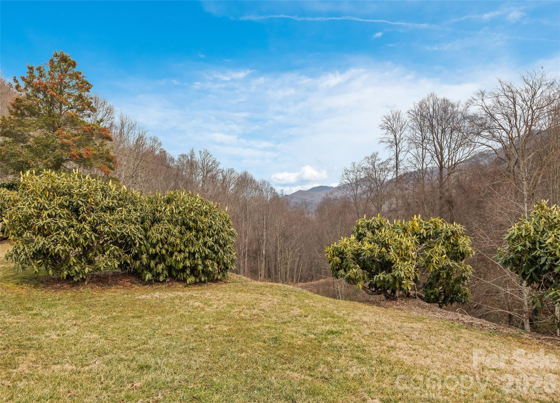 15 Whitted Road - Photo 3