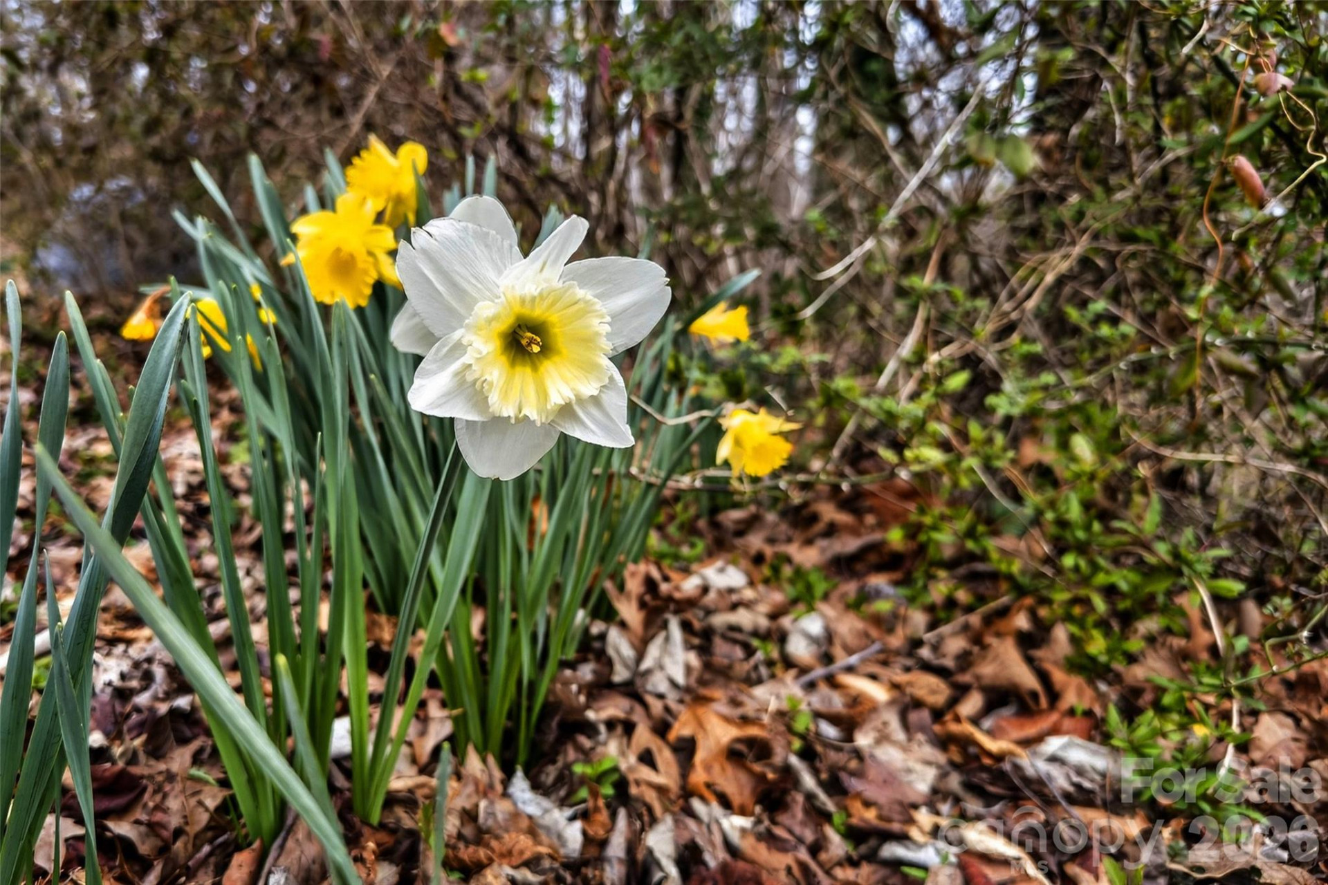 254 Wildwood Terrace - Photo 33