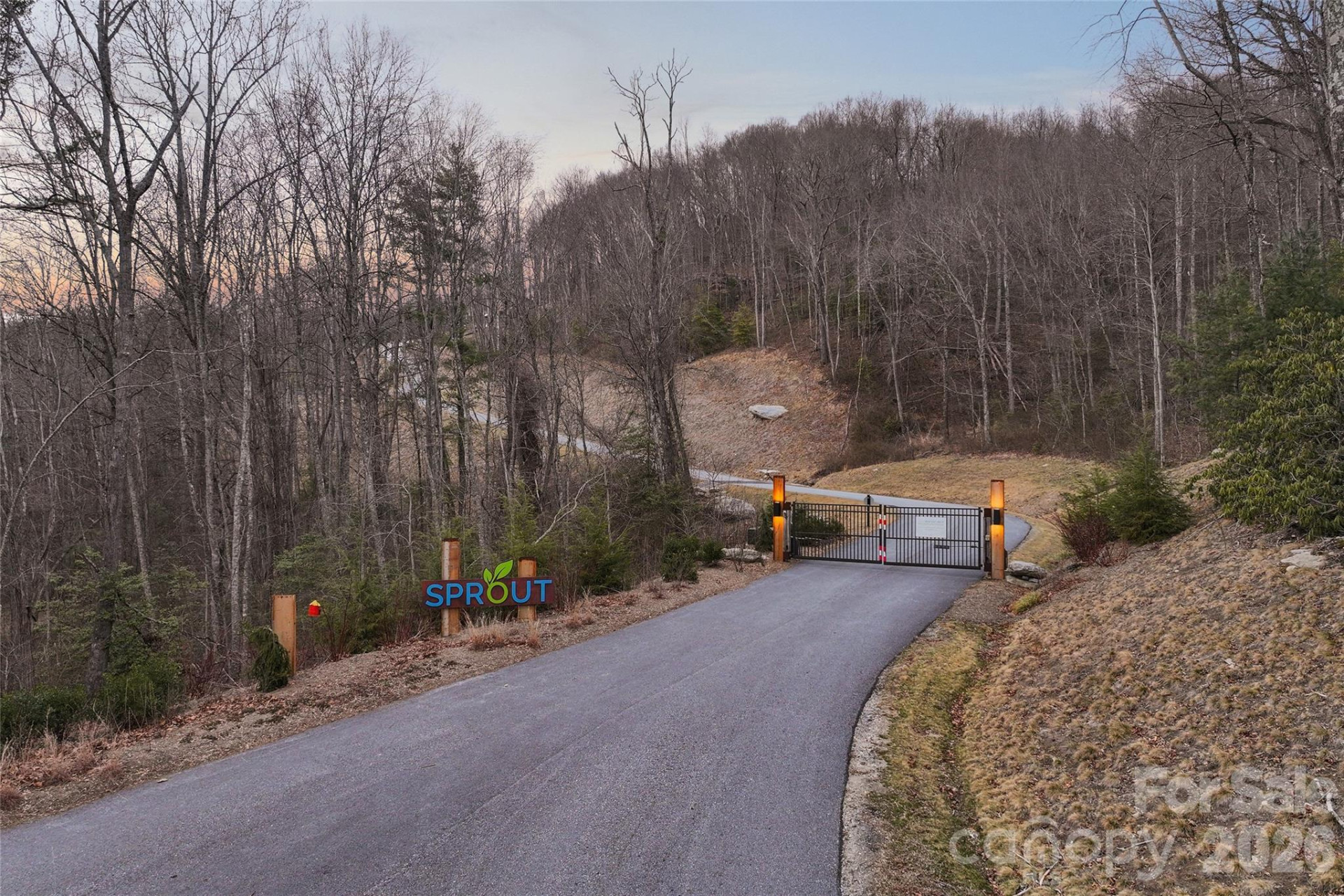 751 New Sprout Lane - Photo 38