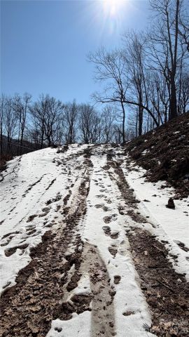 000 Fox Den Road, Mars Hill, NC, 28754