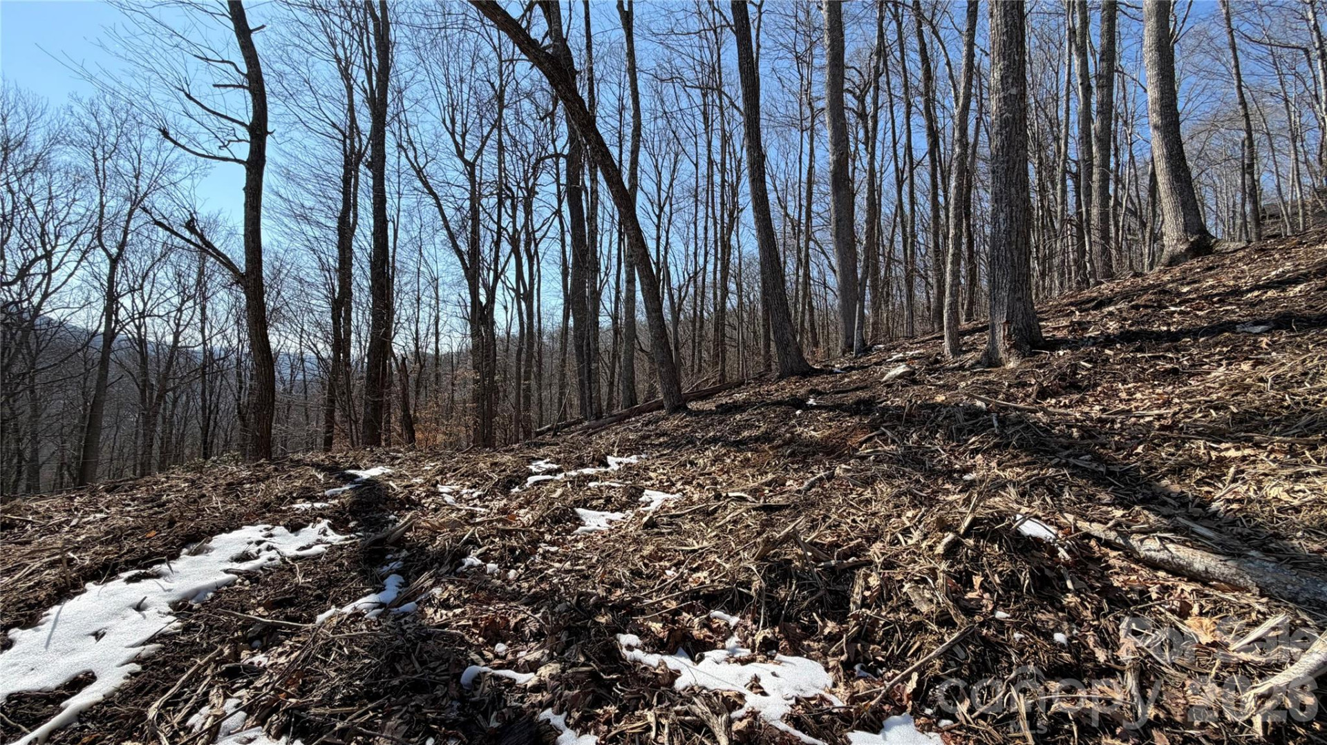 000 Fox Den Road #109 - Photo 3