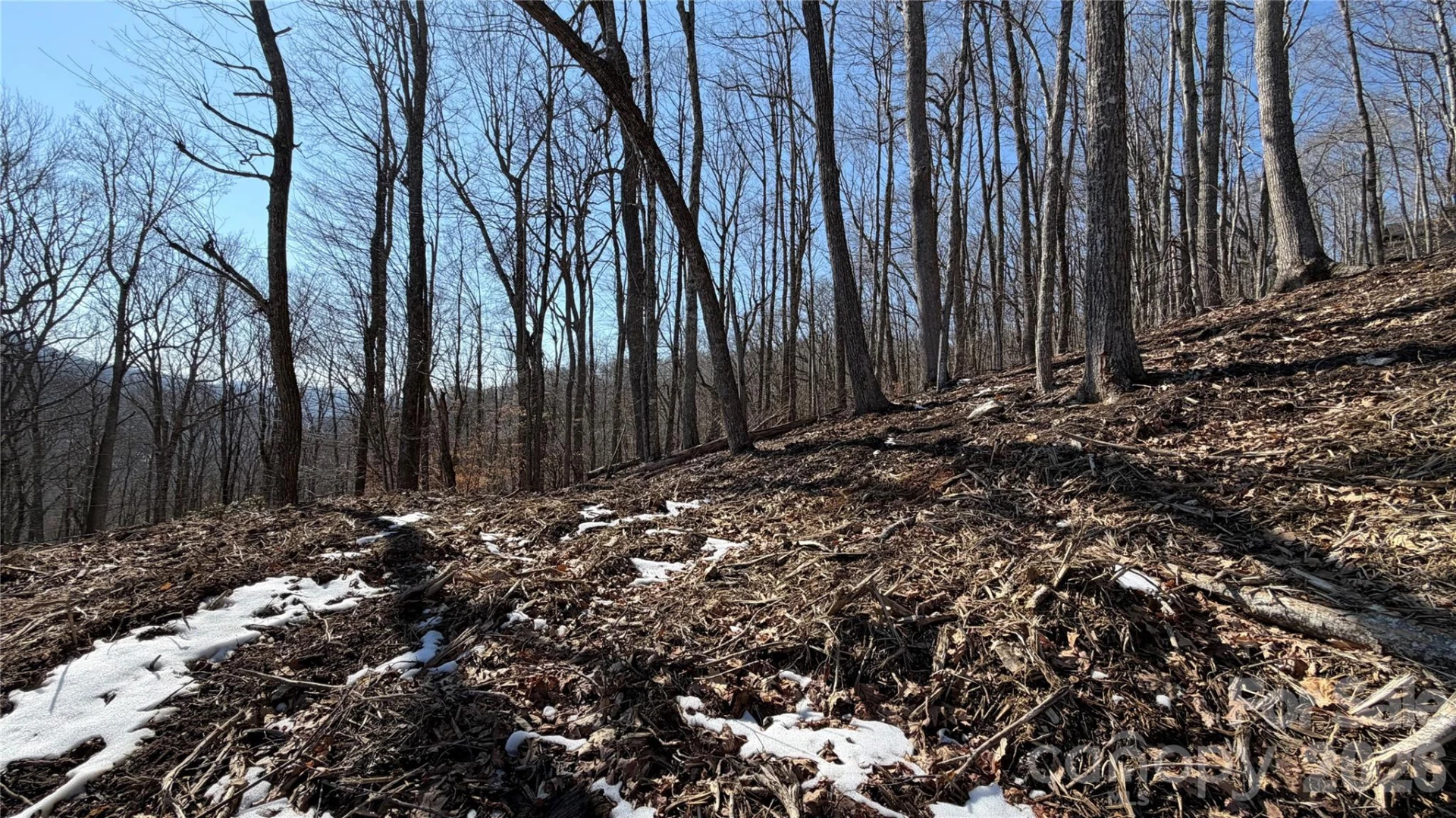 000 Fox Den Road #109 - Photo 3