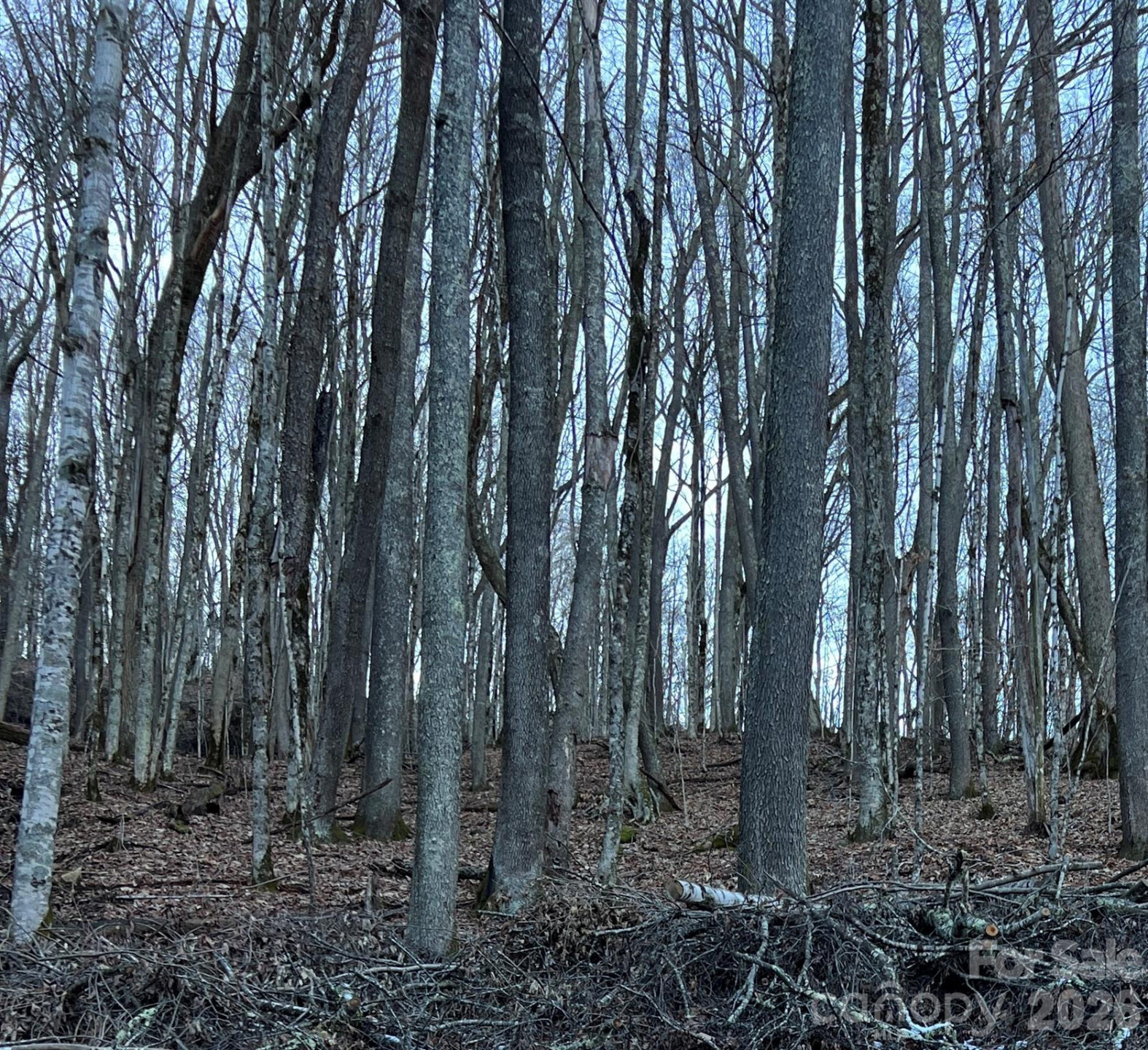 000 Fox Den Road #109 - Photo 4