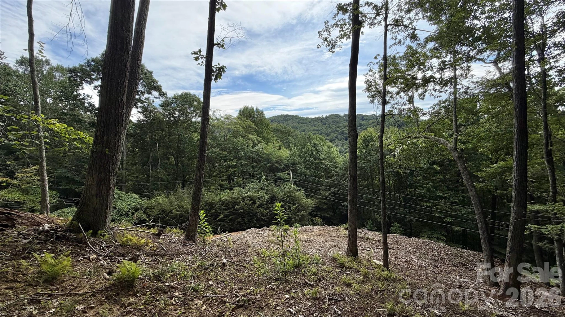 000 Fox Den Road #109 - Photo 5