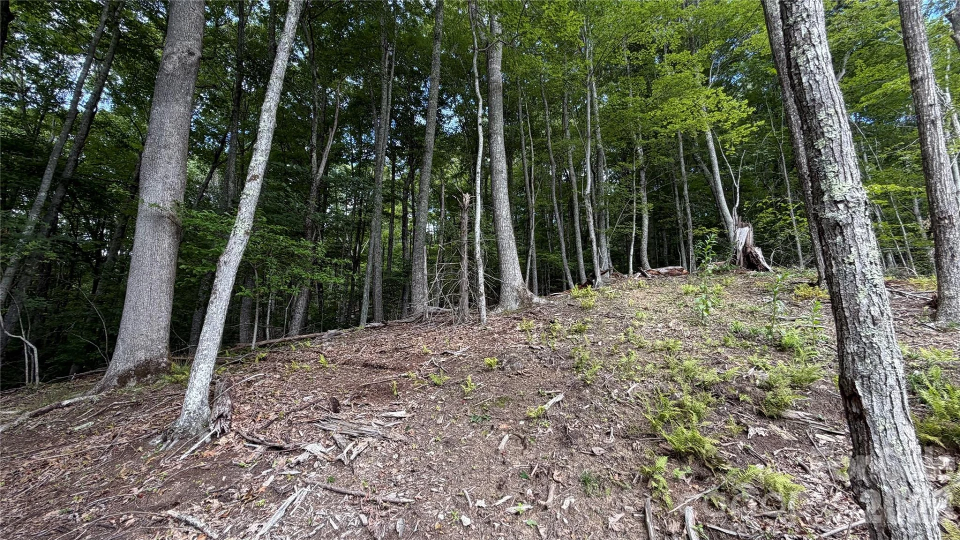 000 Fox Den Road #109 - Photo 7