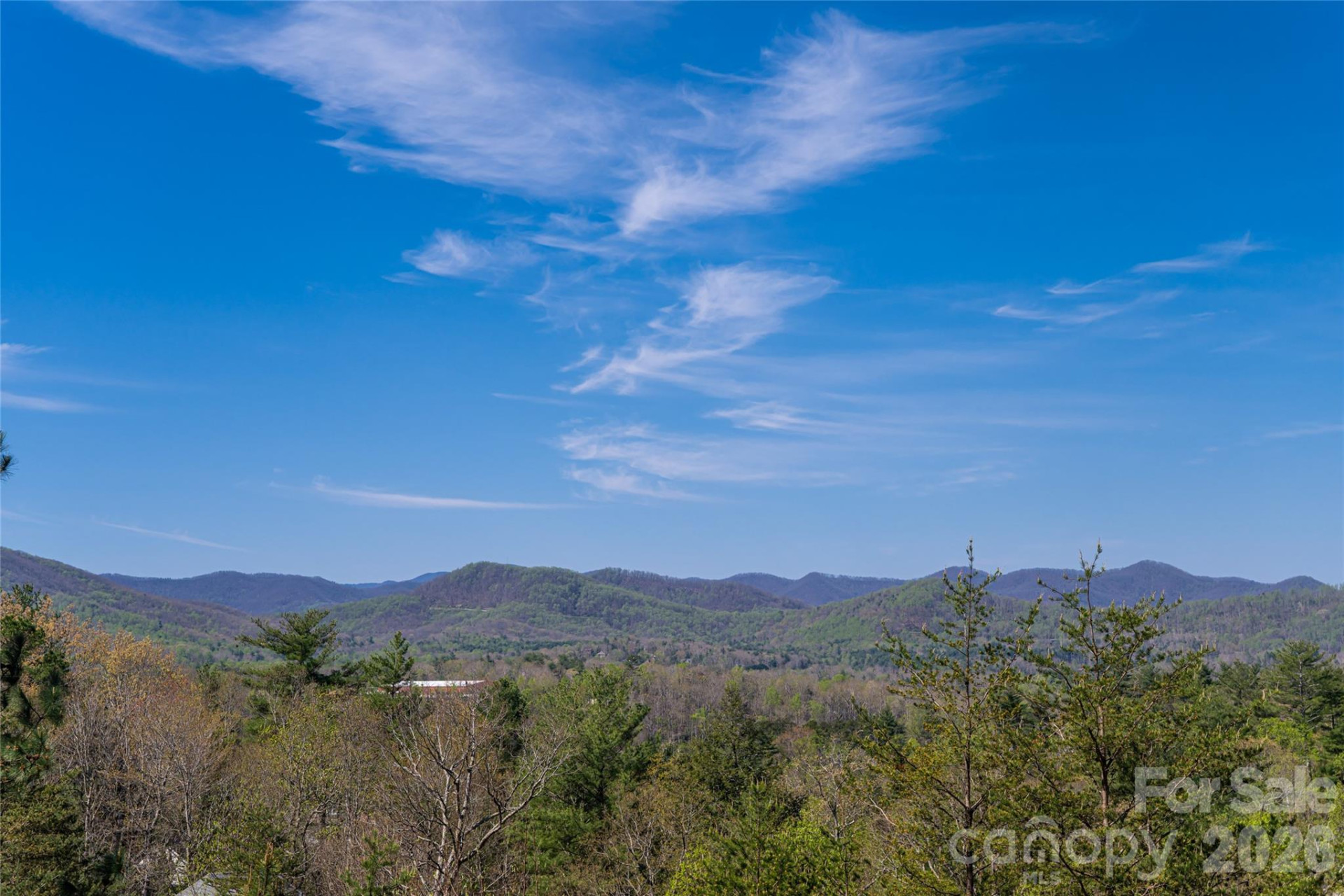 9 Dianthus Drive - Photo 36