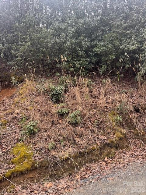 0 Benton Drive - Photo 2