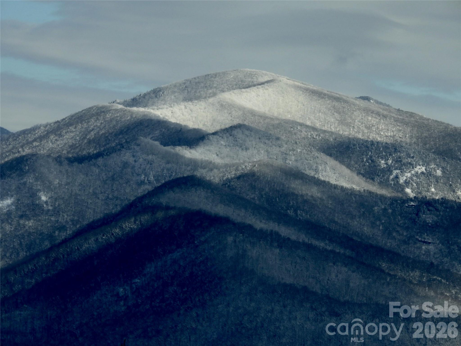 126 Wildflower Cove Drive - Photo 30