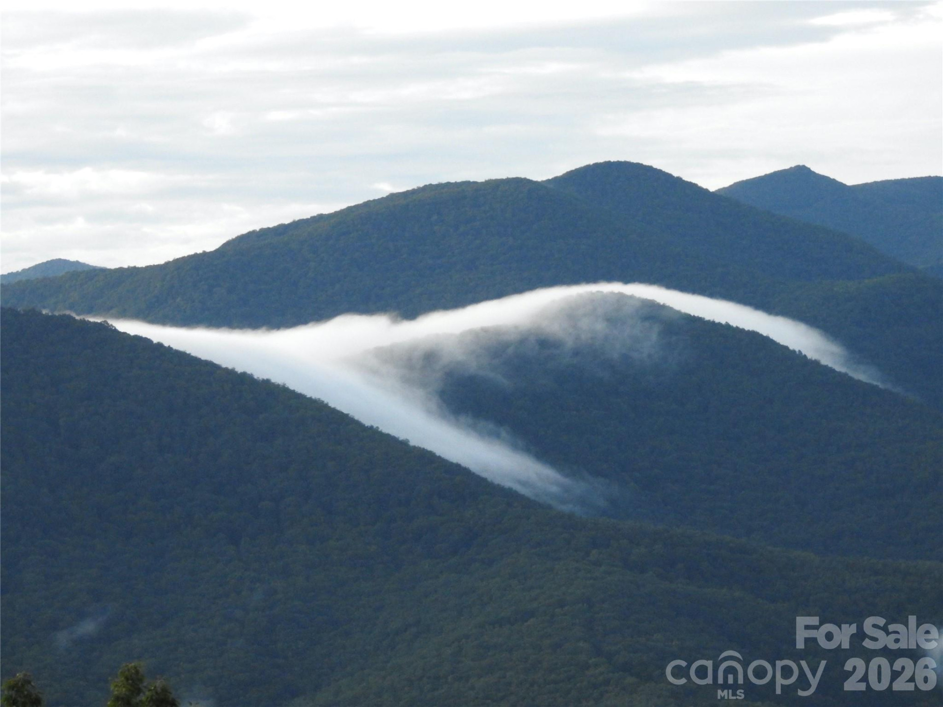 126 Wildflower Cove Drive - Photo 34