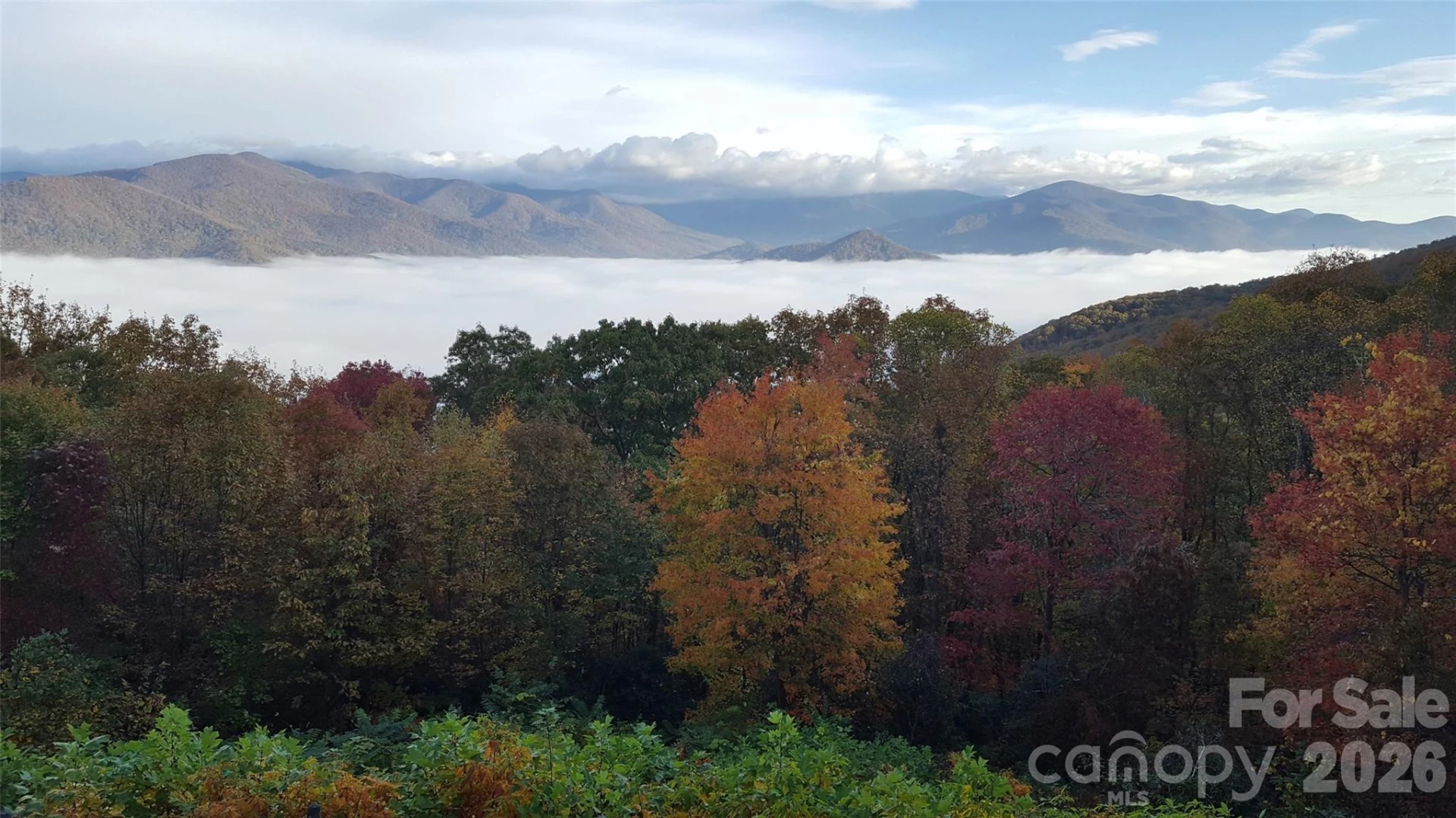 126 Wildflower Cove Drive - Photo 37