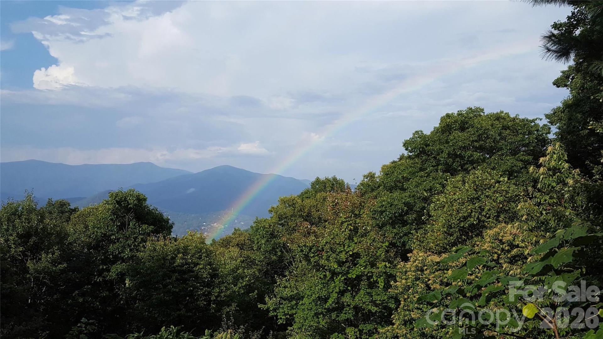 126 Wildflower Cove Drive - Photo 37