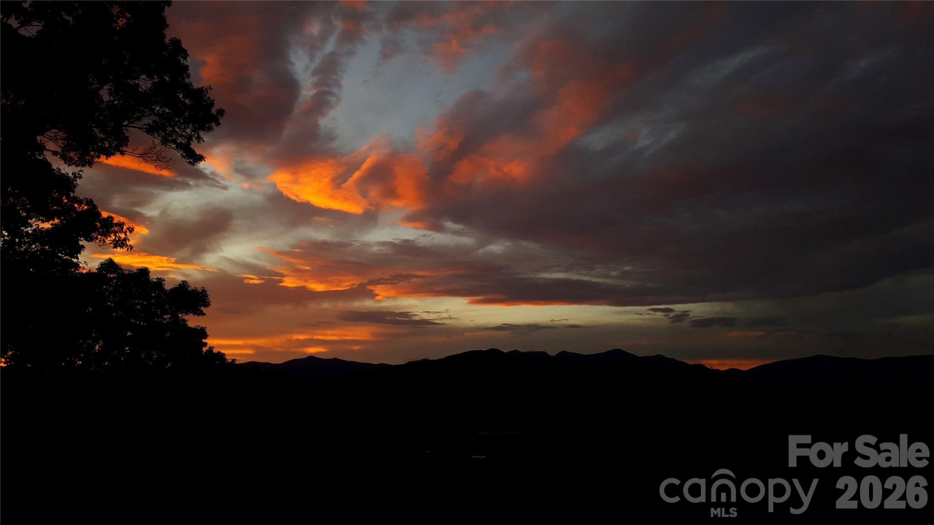 126 Wildflower Cove Drive - Photo 39