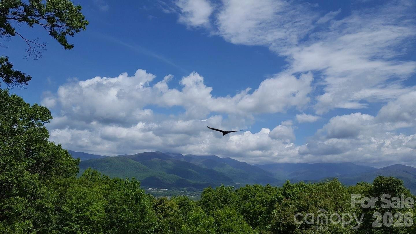 126 Wildflower Cove Drive - Photo 42