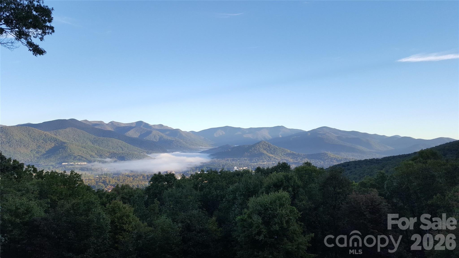 126 Wildflower Cove Drive - Photo 43