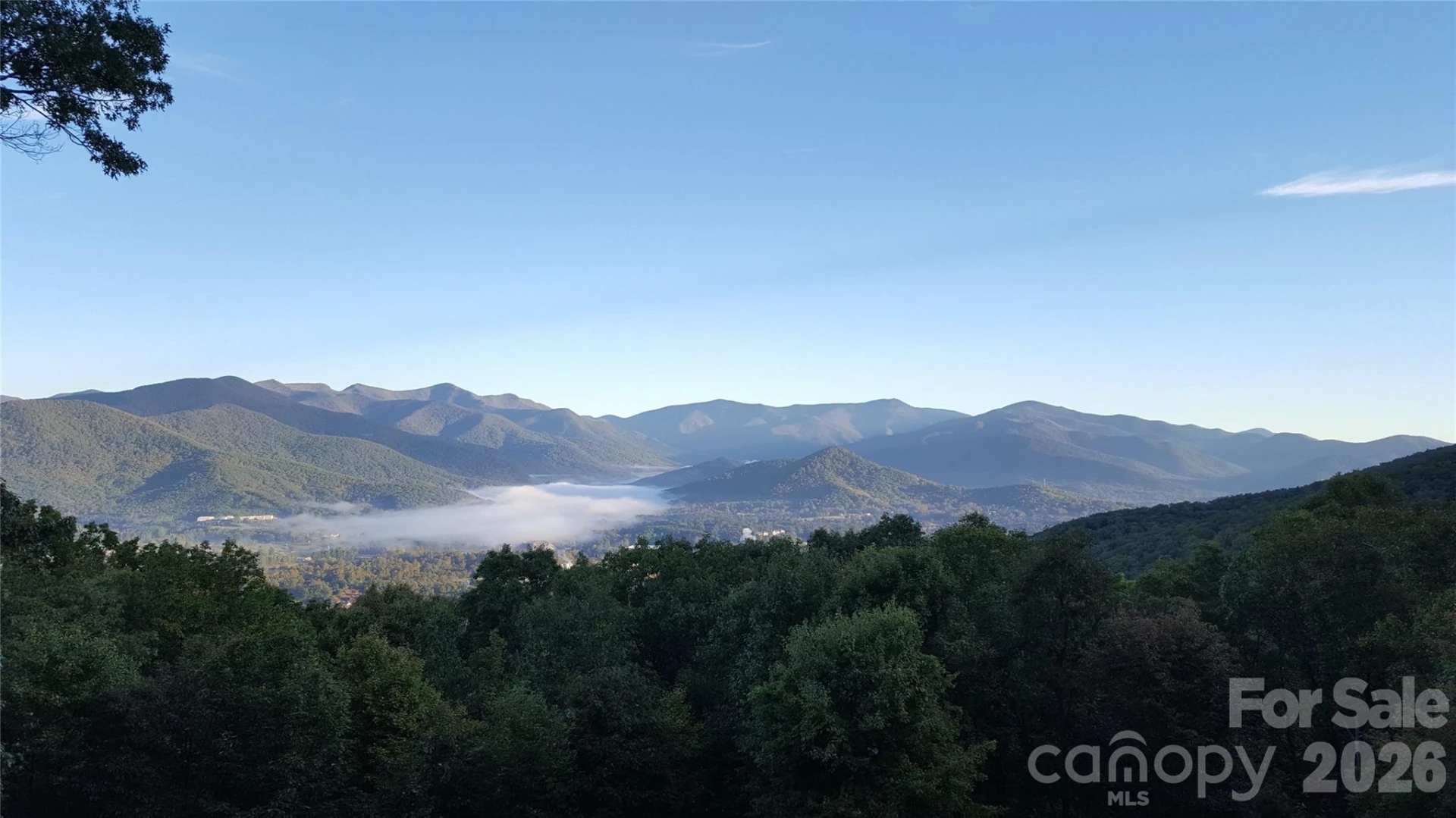126 Wildflower Cove Drive - Photo 44