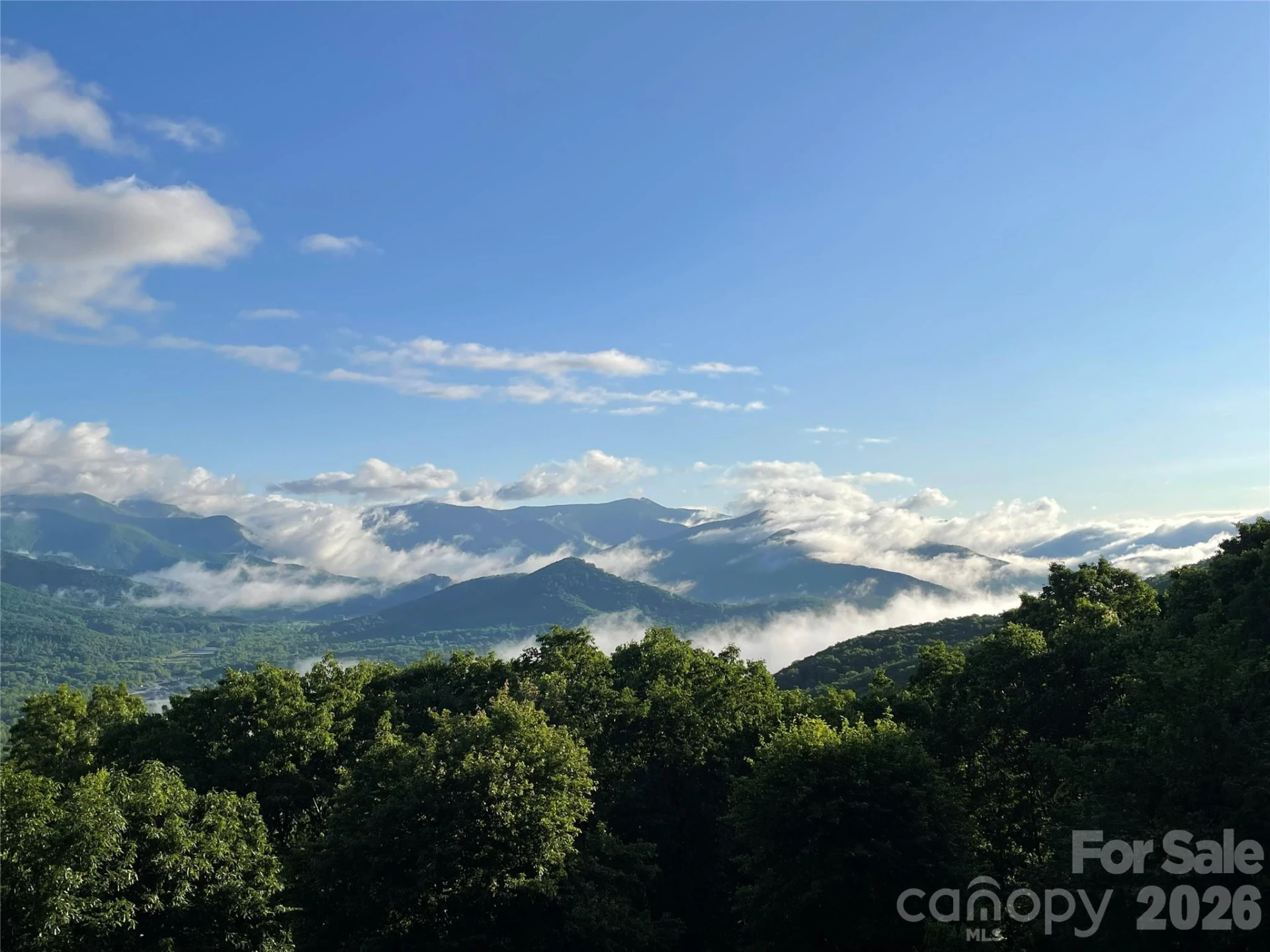 126 Wildflower Cove Drive - Photo 45