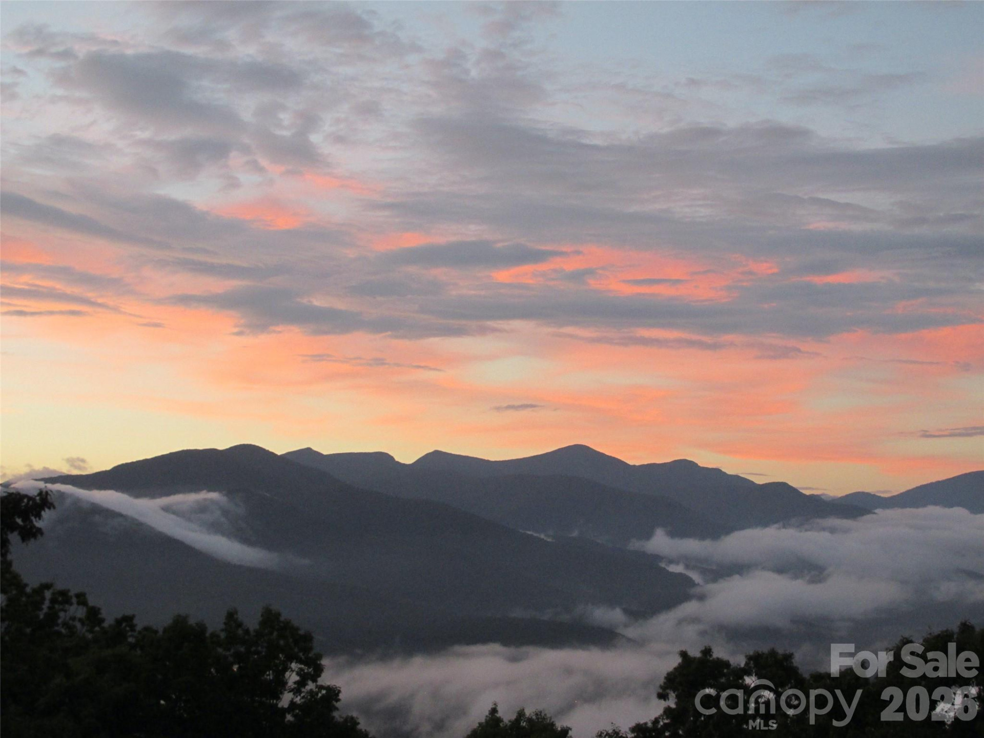 126 Wildflower Cove Drive - Photo 45