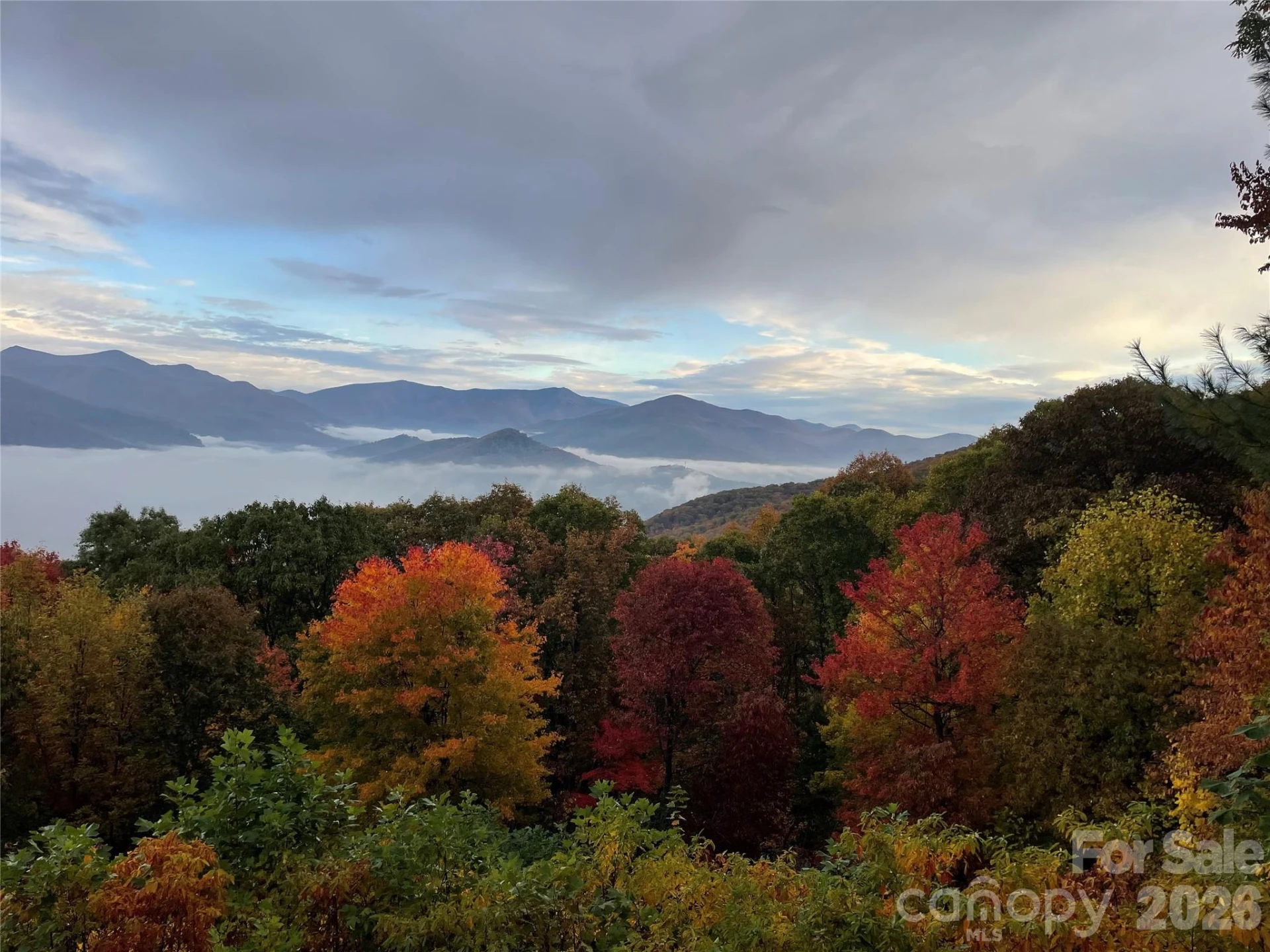 126 Wildflower Cove Drive - Photo 48