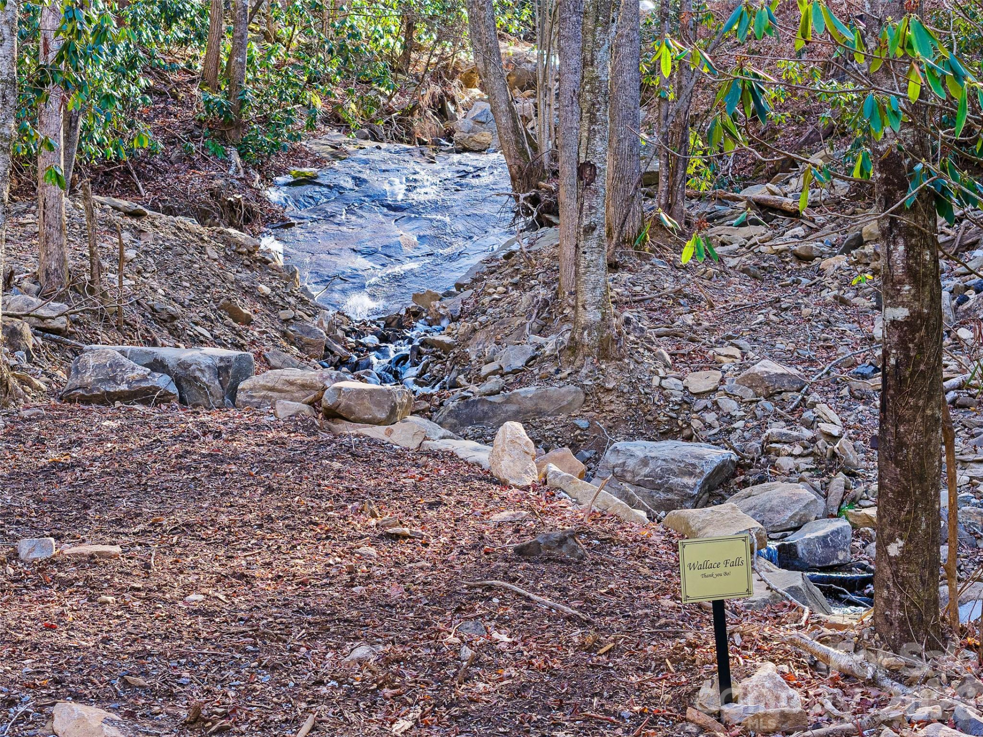 126 Wildflower Cove Drive - Photo 9